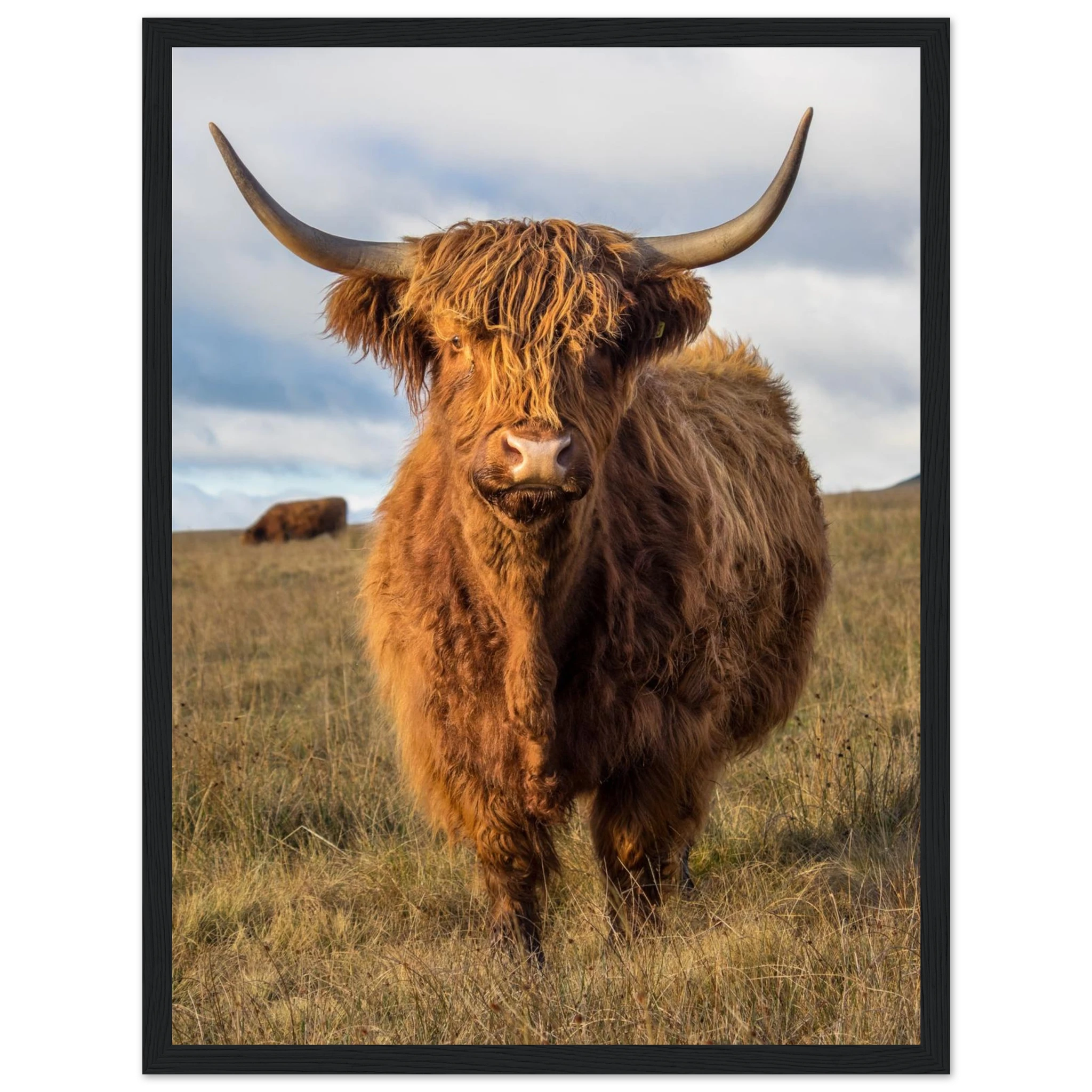 c8698aaf-c825-4e03-90fd-cca555dd7385