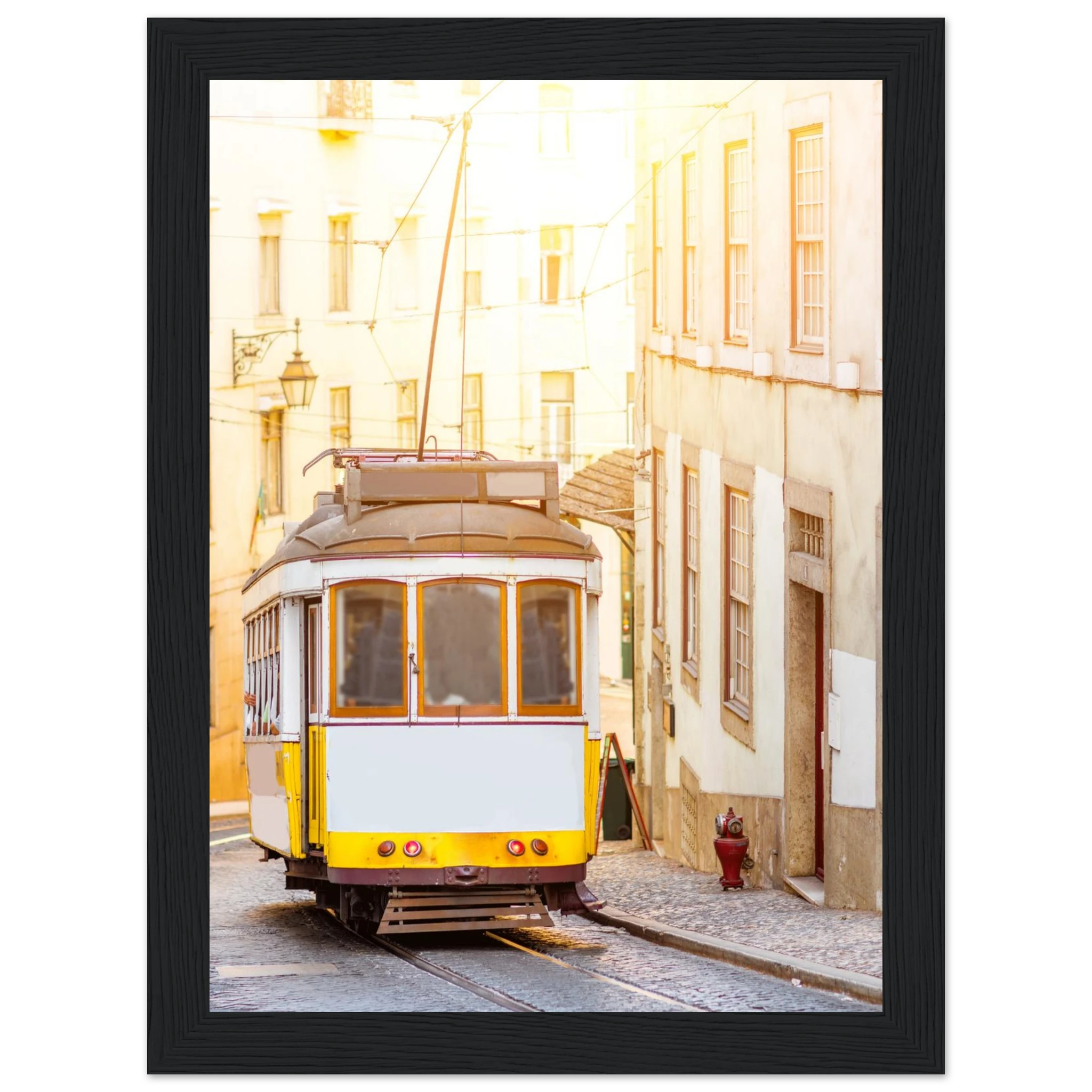 c8831c80-cde2-43e9-a19a-b2080ad76a6d