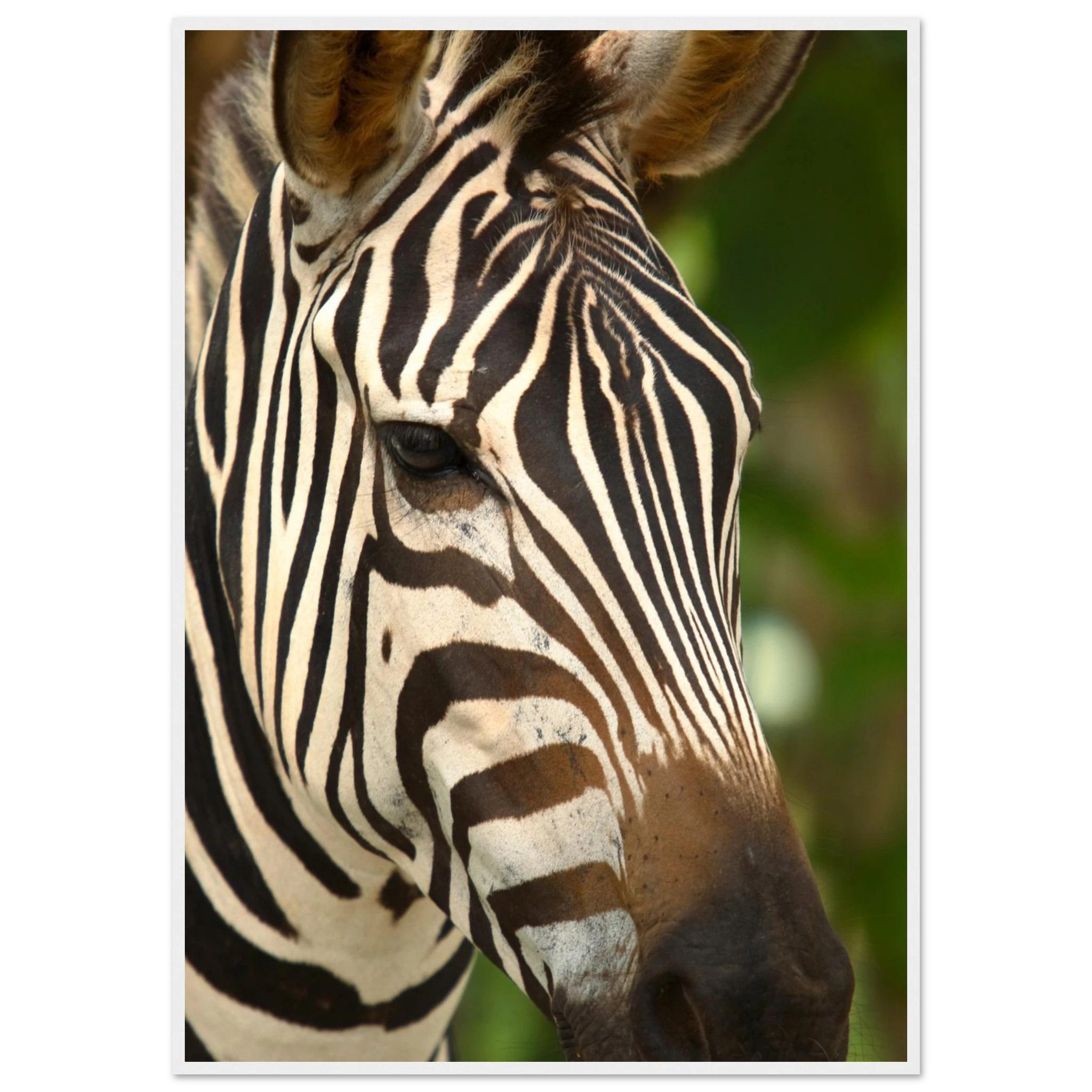 c893de3e-85e0-44ad-8321-cffc802c9476