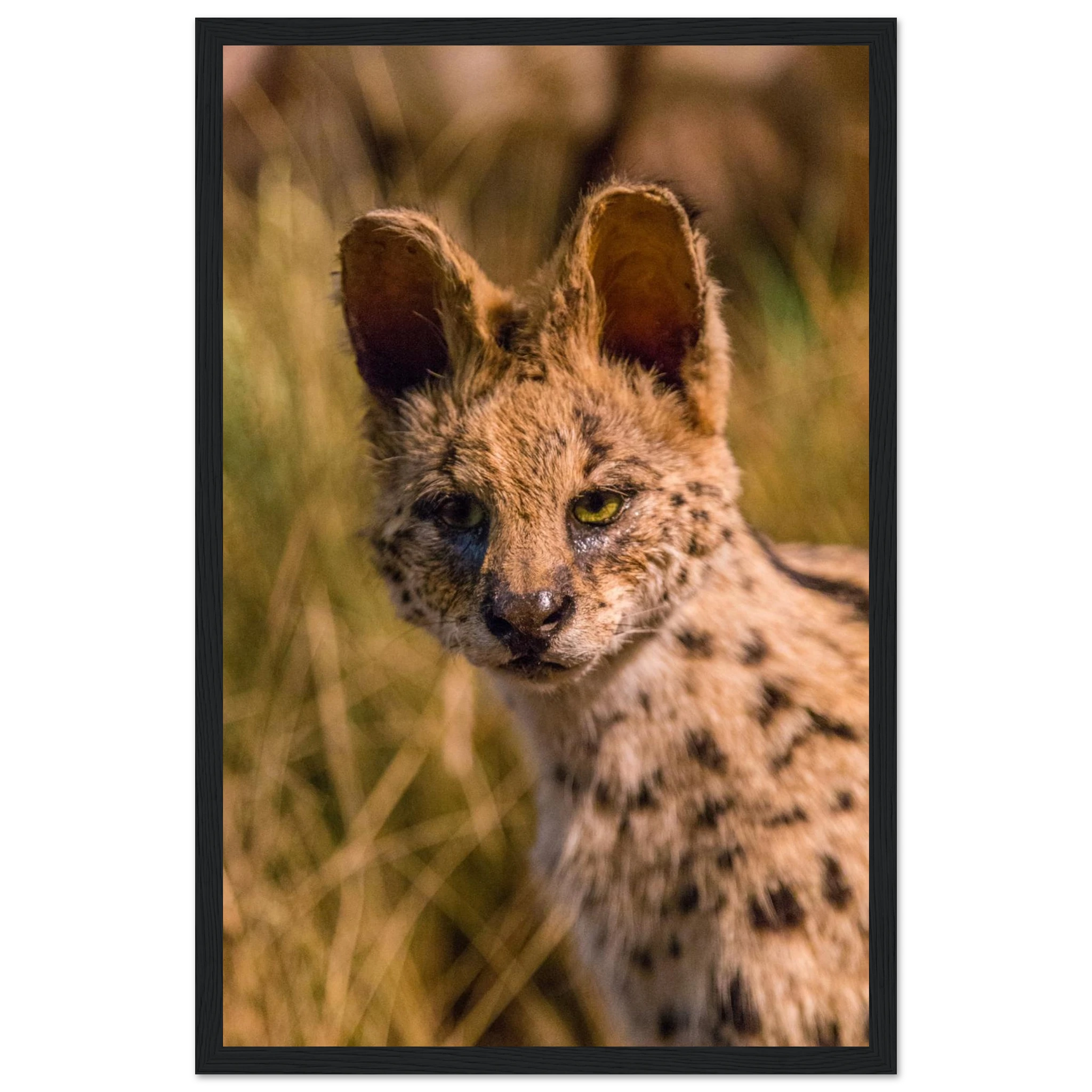 c8b3d10d-71b5-43ef-beff-e76a71dda4ec