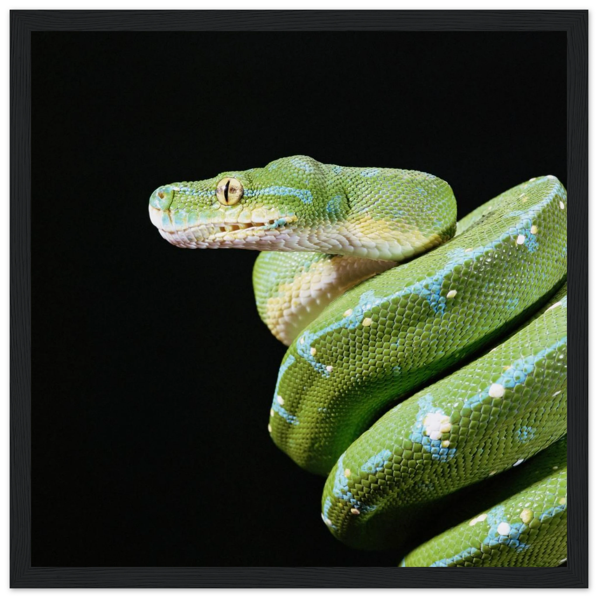 c8b50d9f-5428-48d9-88a1-e8366c1b1254