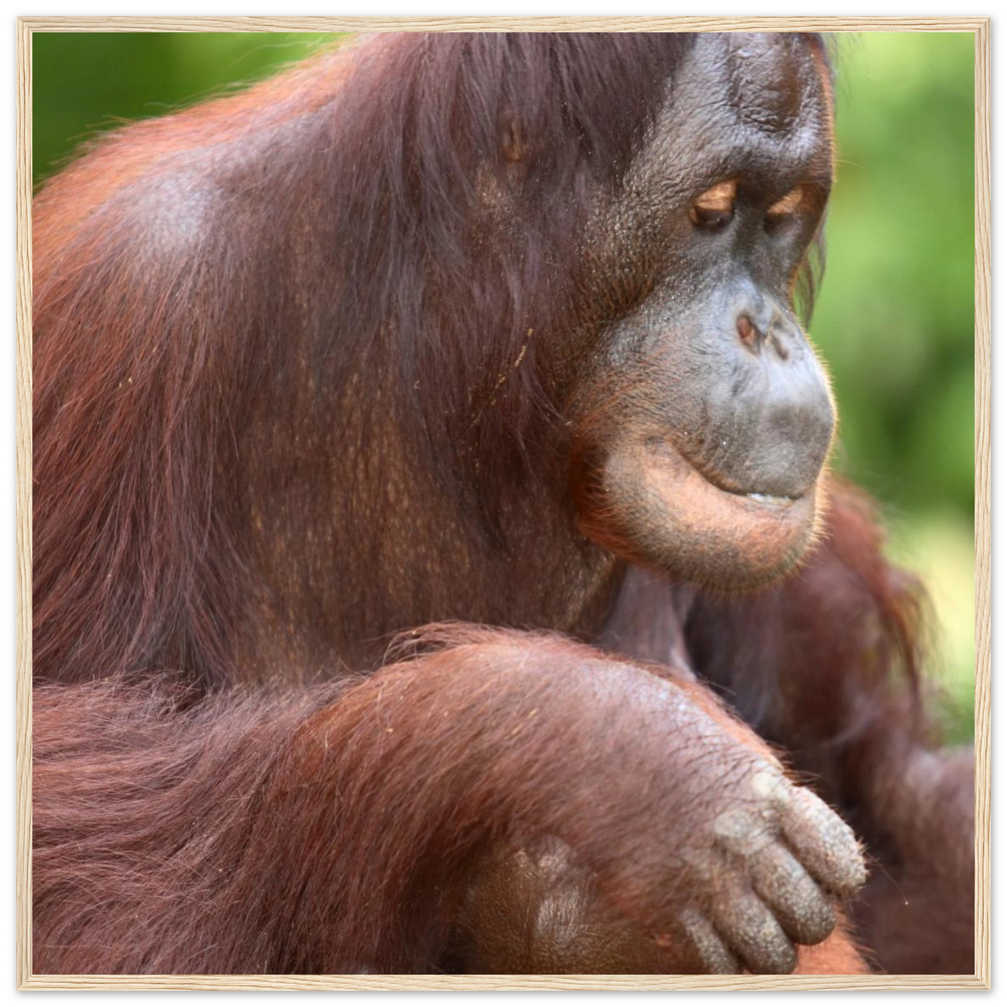 c8bf8933-aa0f-4365-b4b8-1dc122acdc13