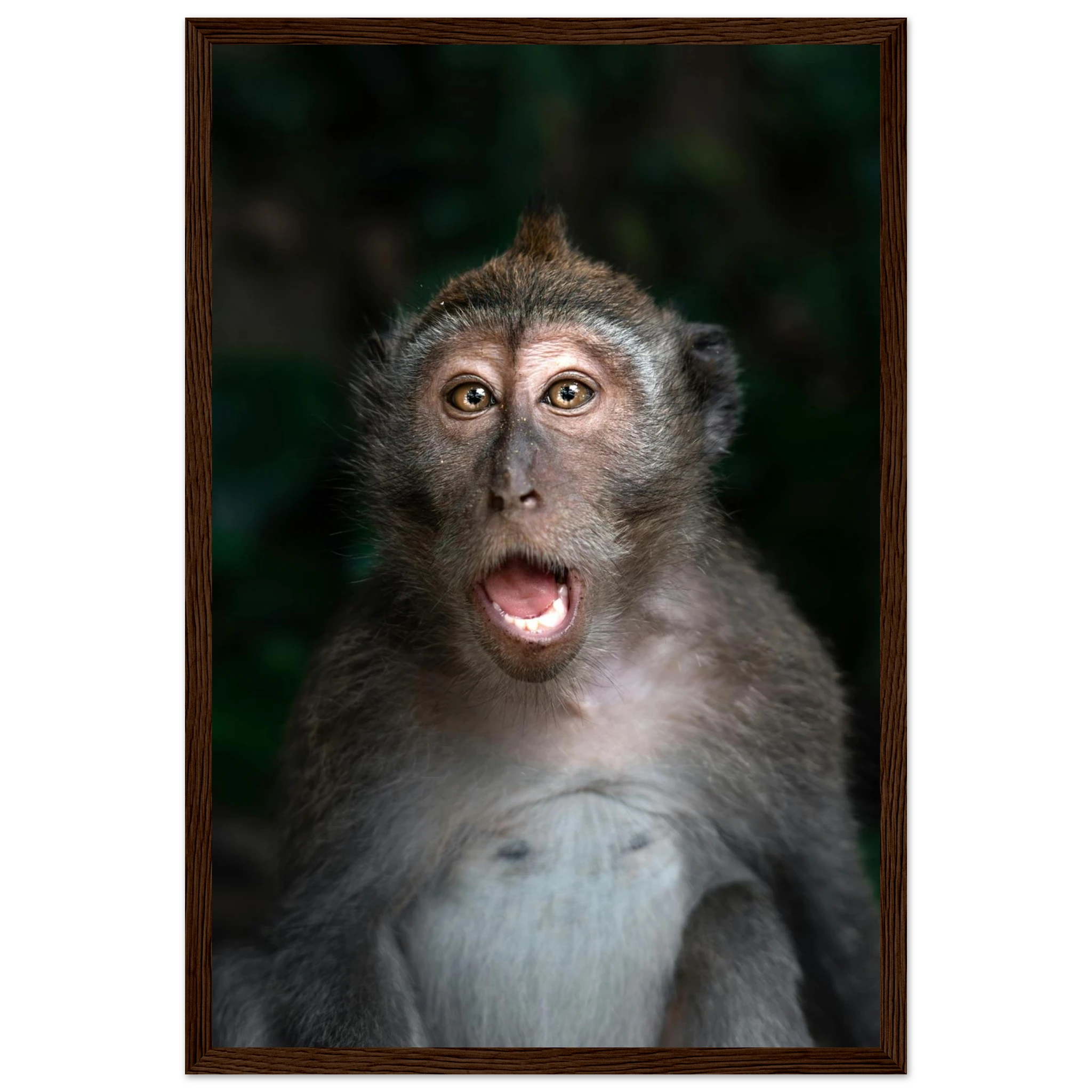 c8c5645a-f2e5-451f-918a-b3221b38f06d