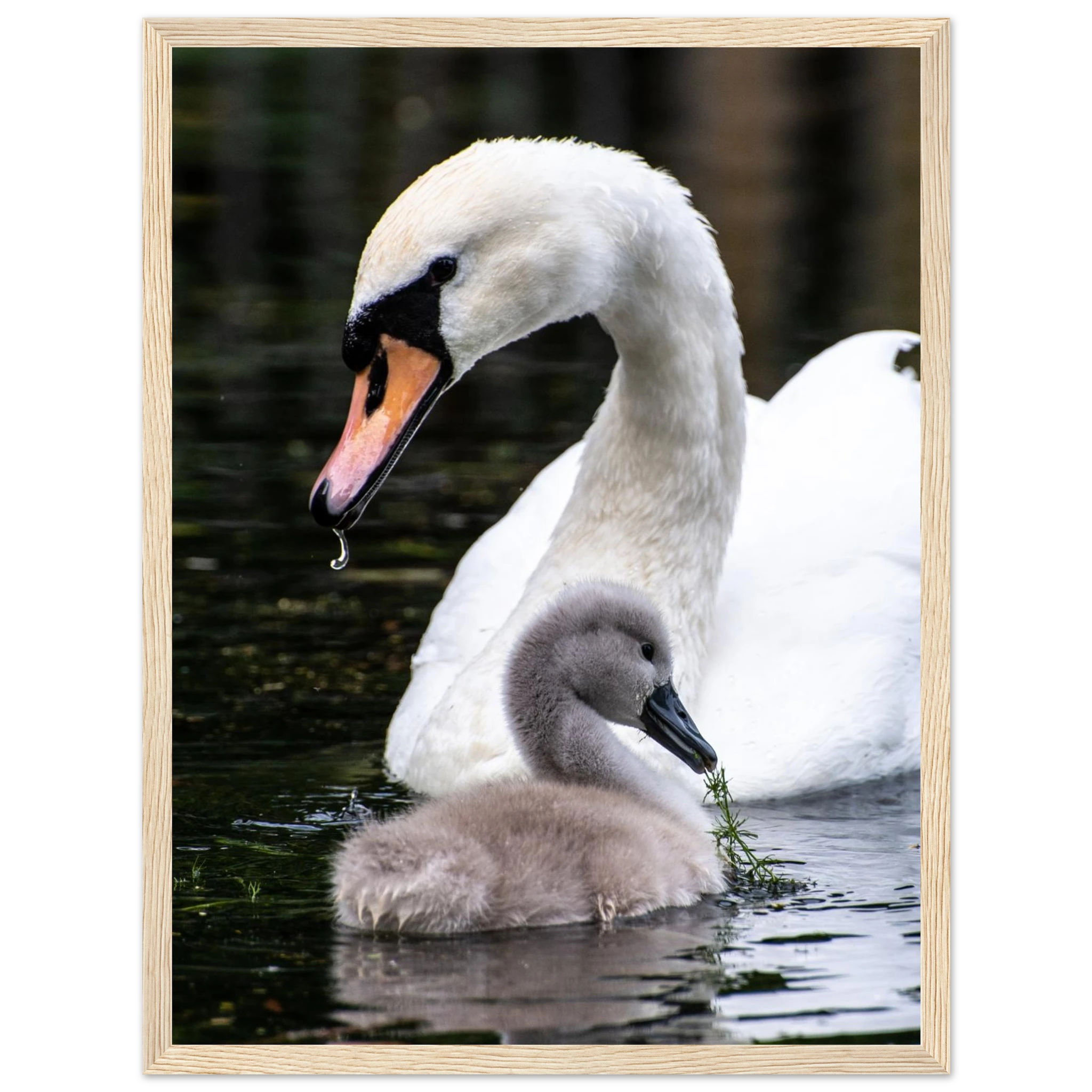 c8c59dbc-f057-4c8b-bb0e-ecad3ee317d8