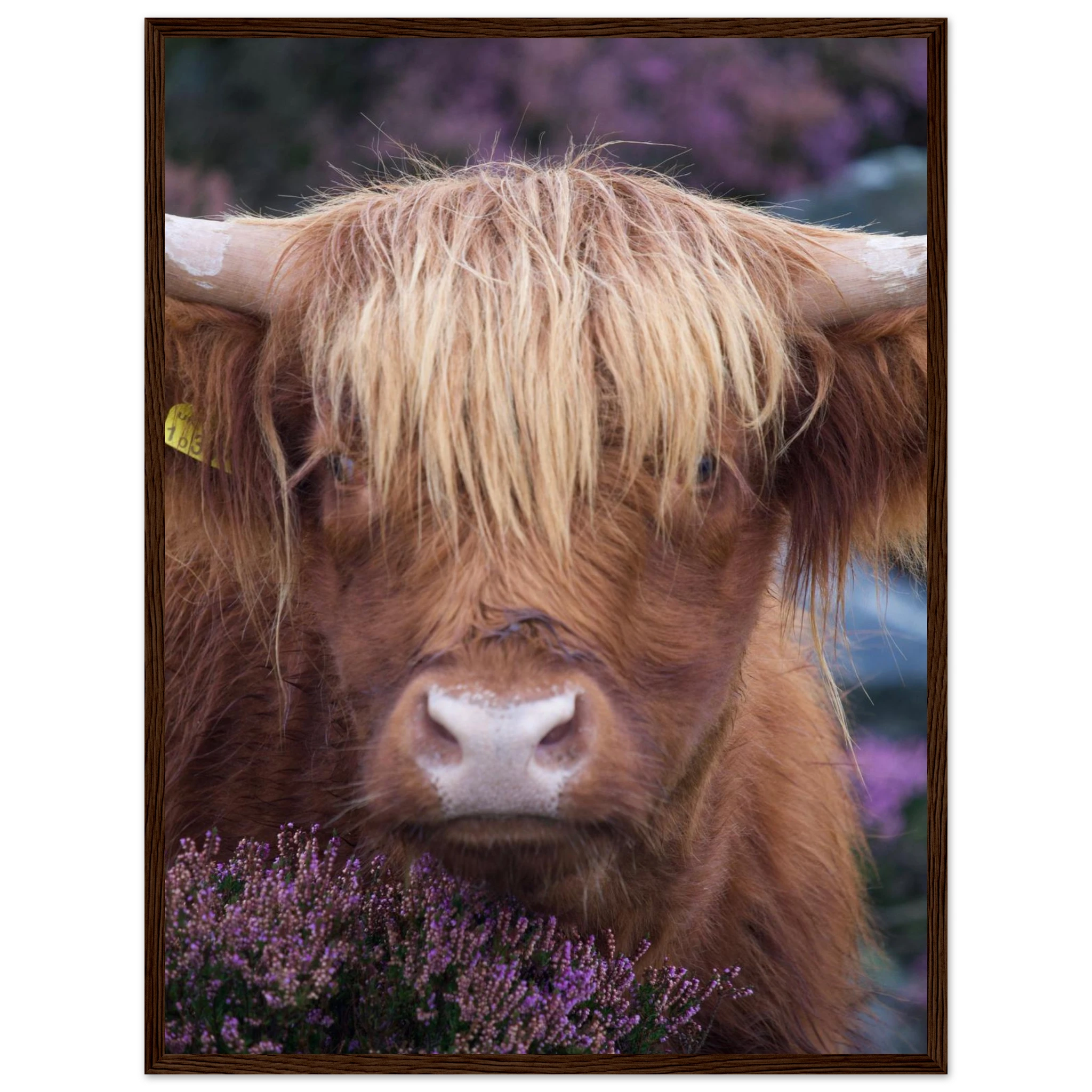 c8e261f5-60a1-4653-903f-56988bda1f07