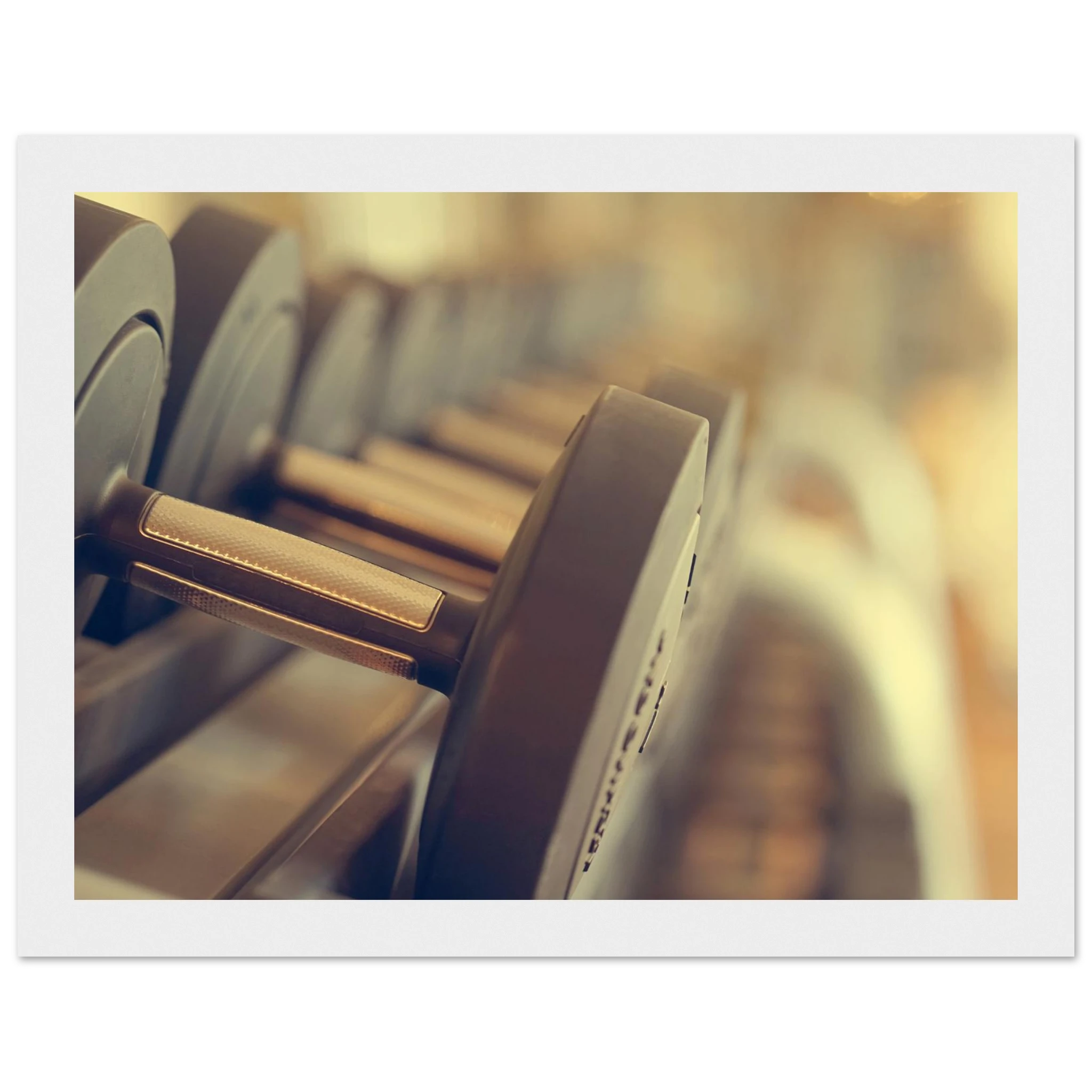 c8fd6d20-7e74-43fa-904c-4f4c6e640c04