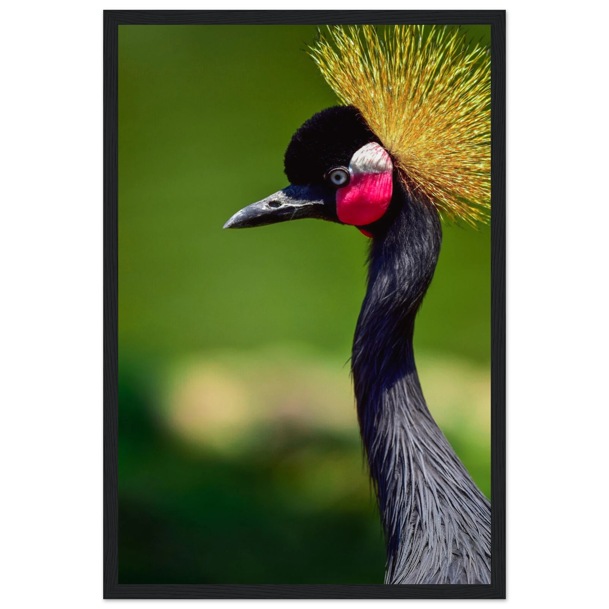 c91430d9-9605-41c1-8fa2-5f8de18661a8