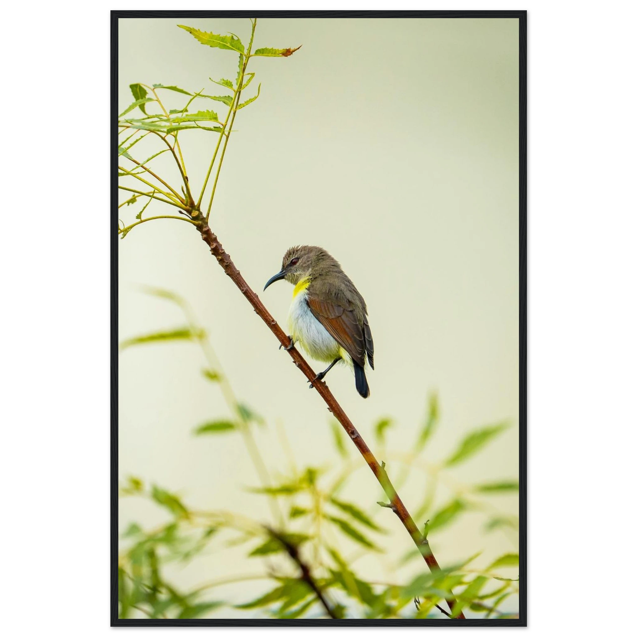 c92a4cc5-bde5-40d4-88e2-28bbb42cfc54