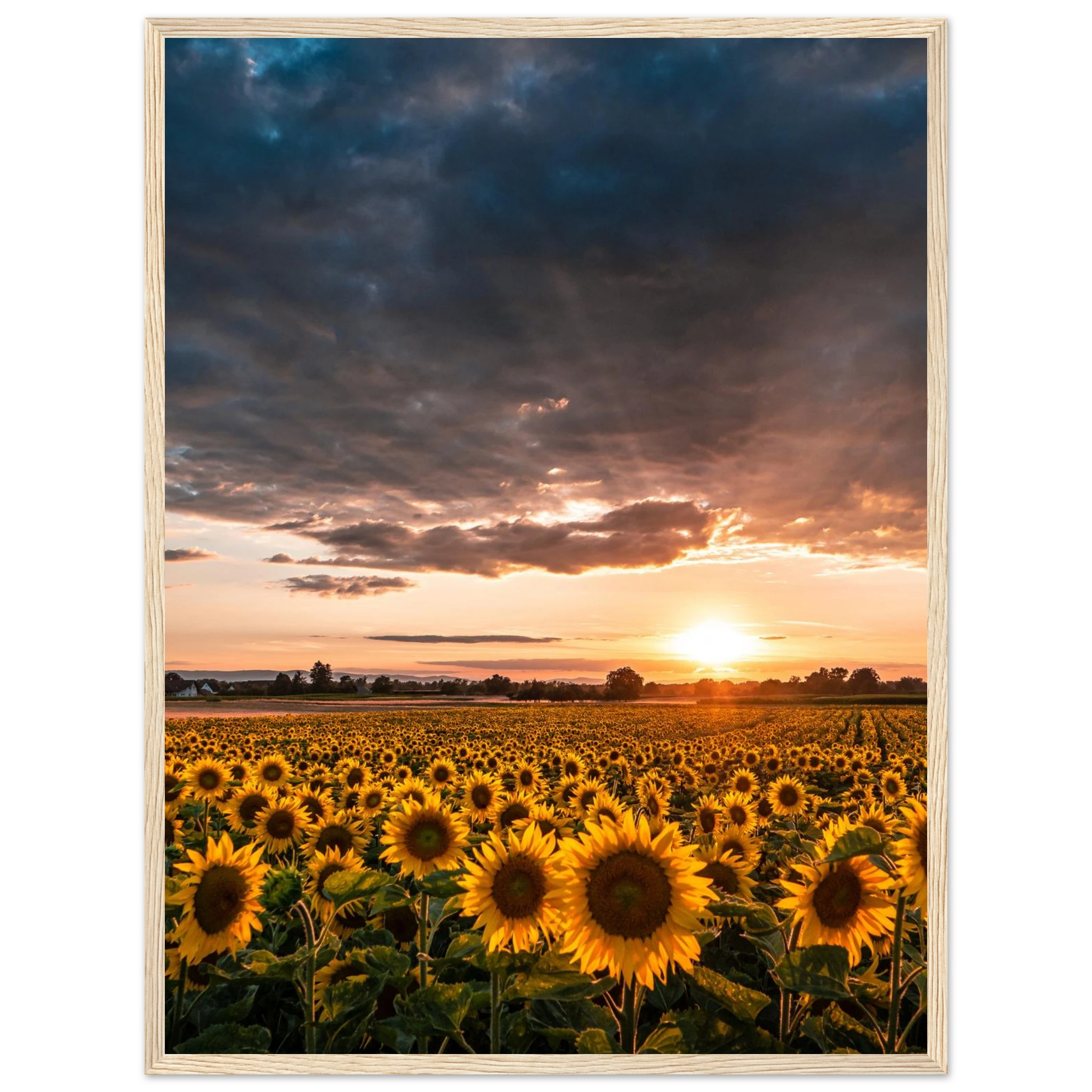 c9314e5c-7f6d-47f6-ac73-49d014982c81