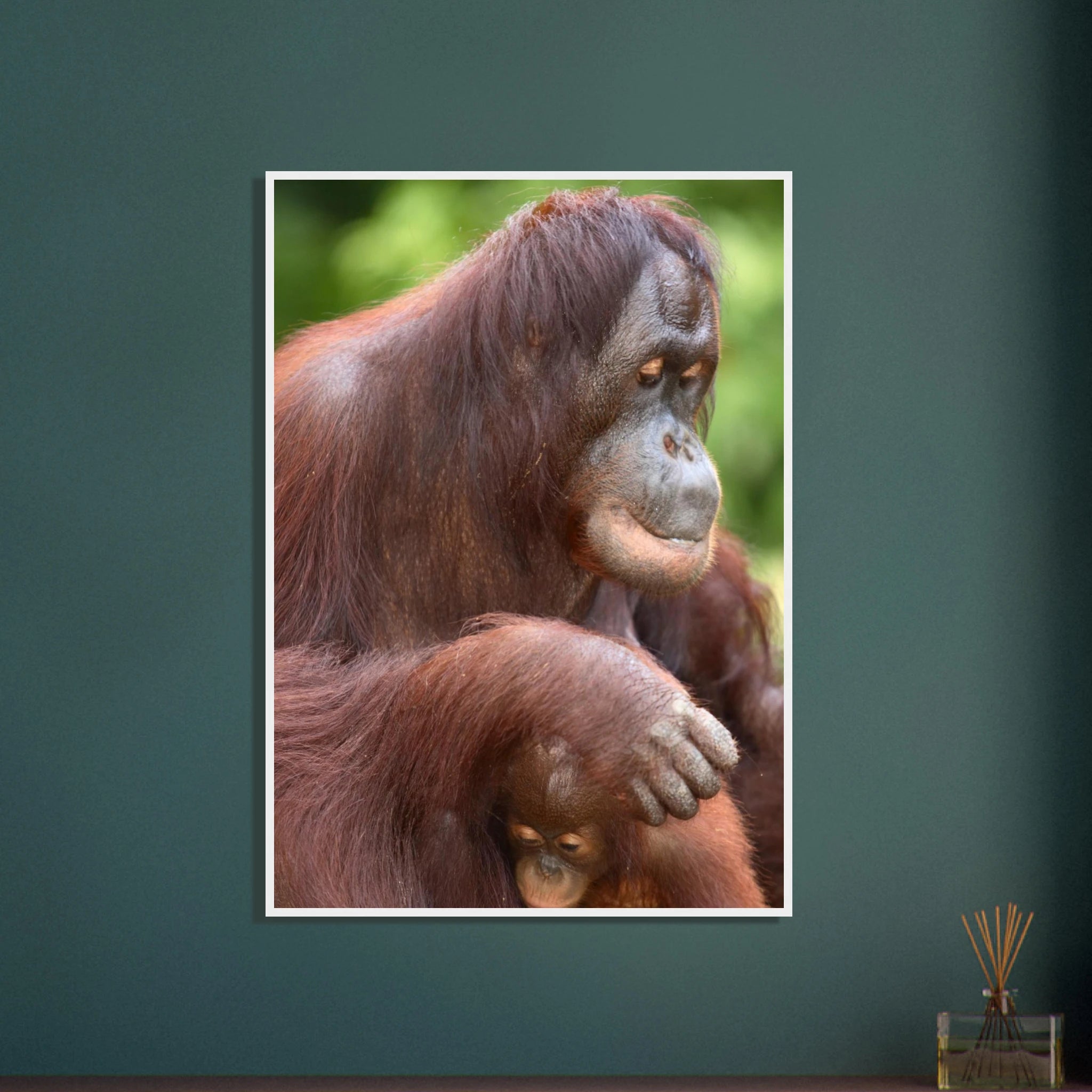 c9537ac6-071e-492e-9709-28bbac261035