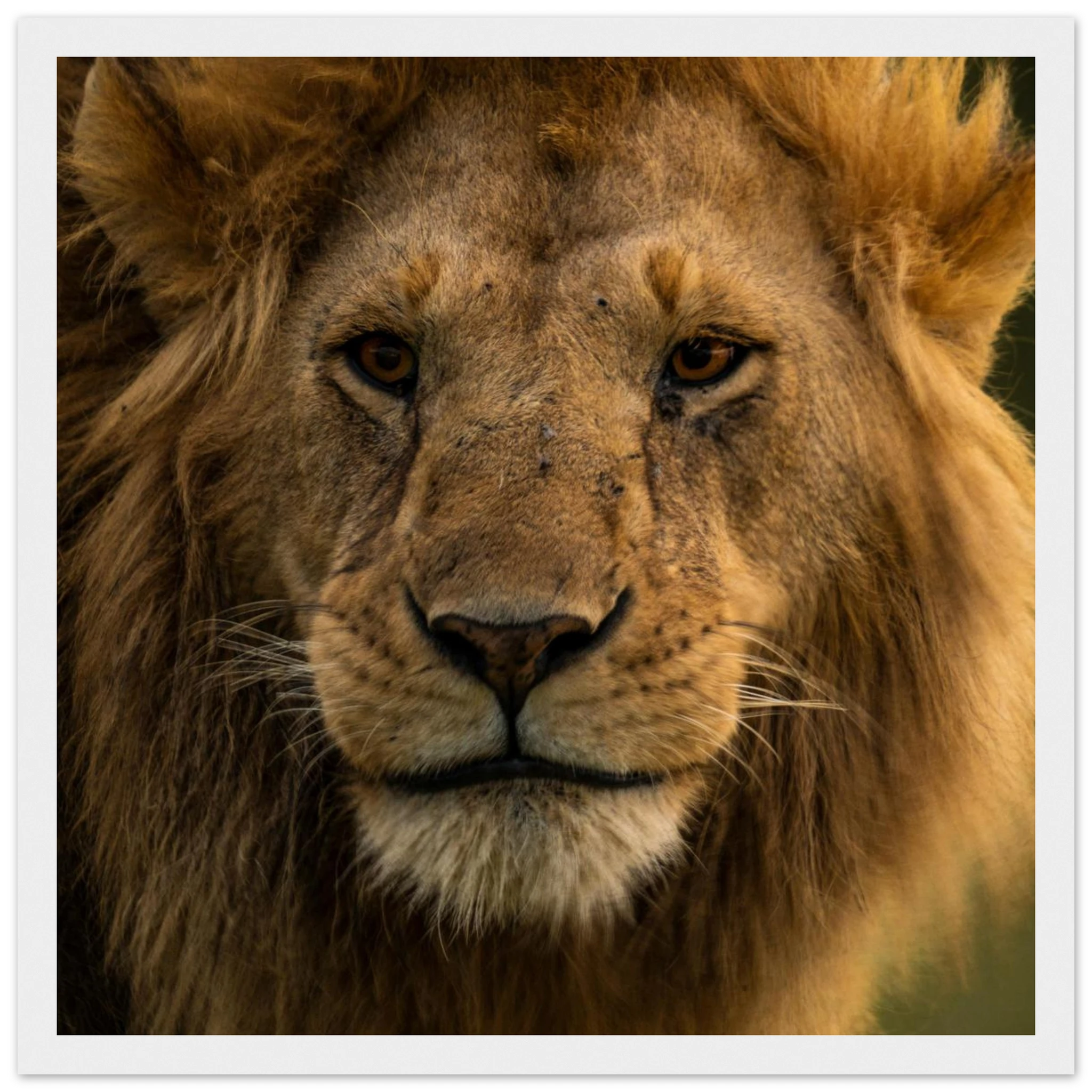 c98daa38-95bb-4a9f-b3ea-4d42b6432d26