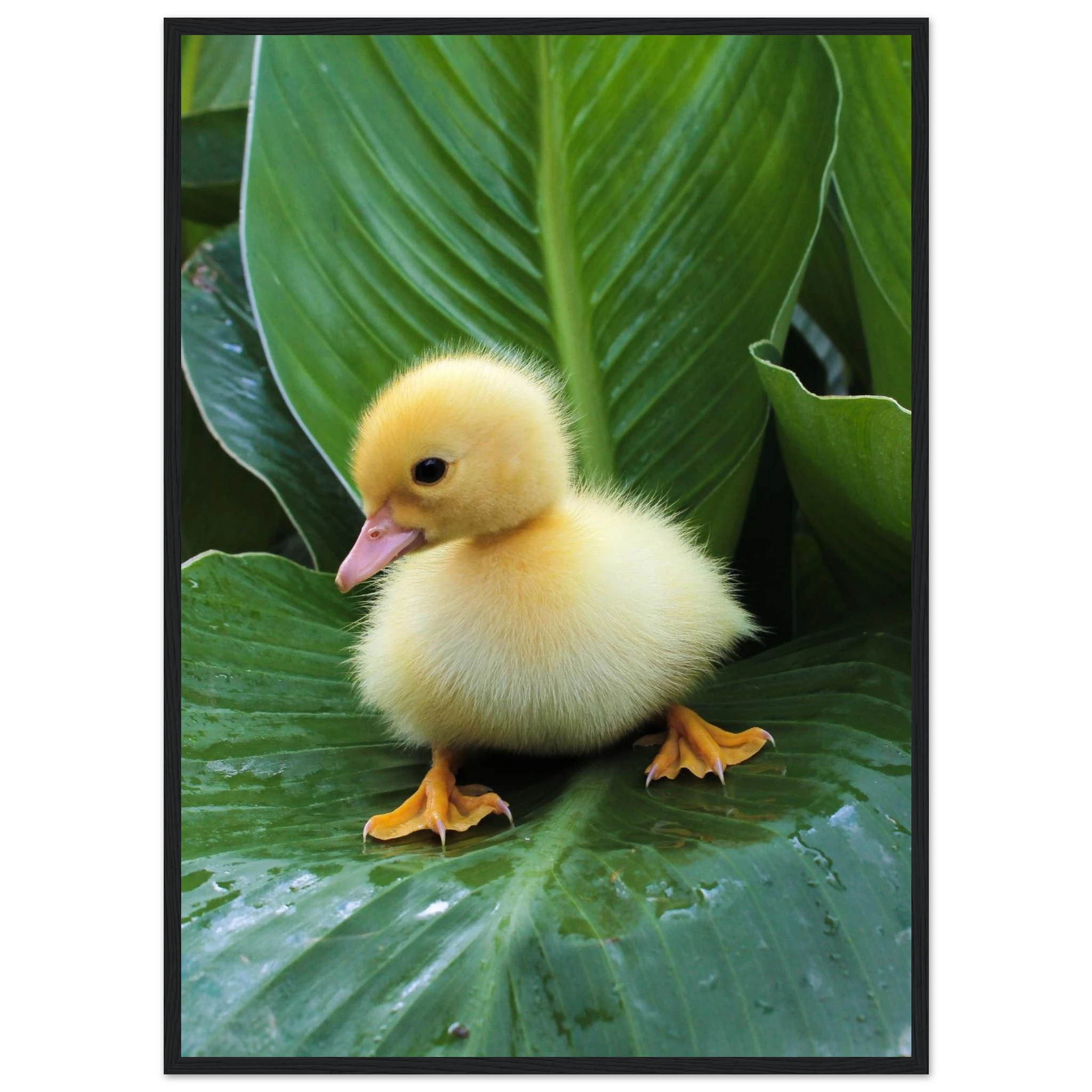 c992846e-a41b-4865-bb34-b0970ec24161