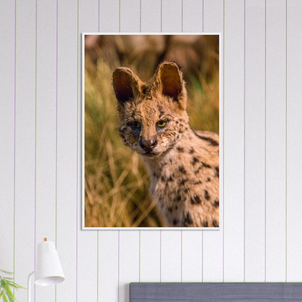 c9a1d6bc-0be1-4837-be04-1aa4103d8c4b