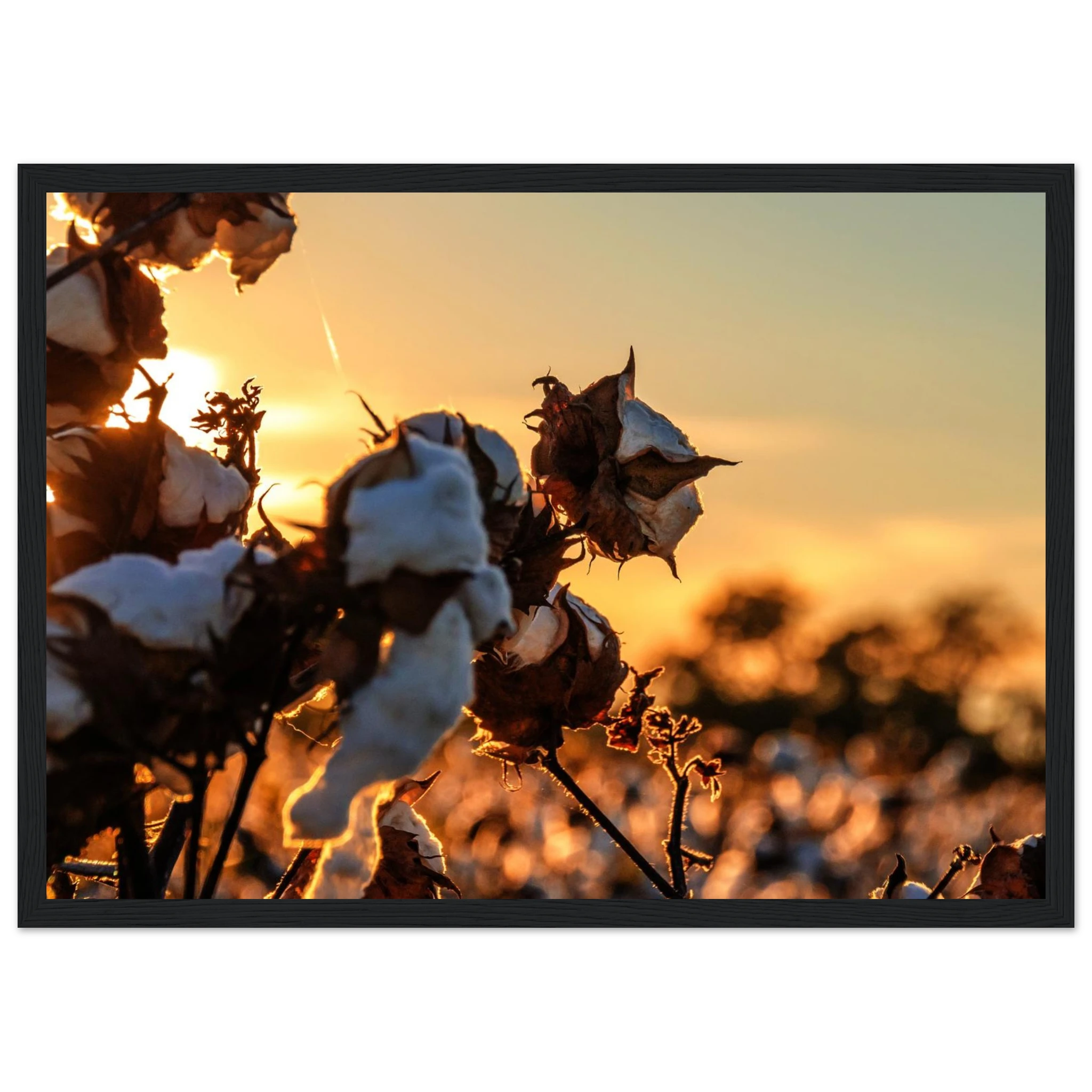 c9b38b59-644e-4237-9c75-8850f7b366b0