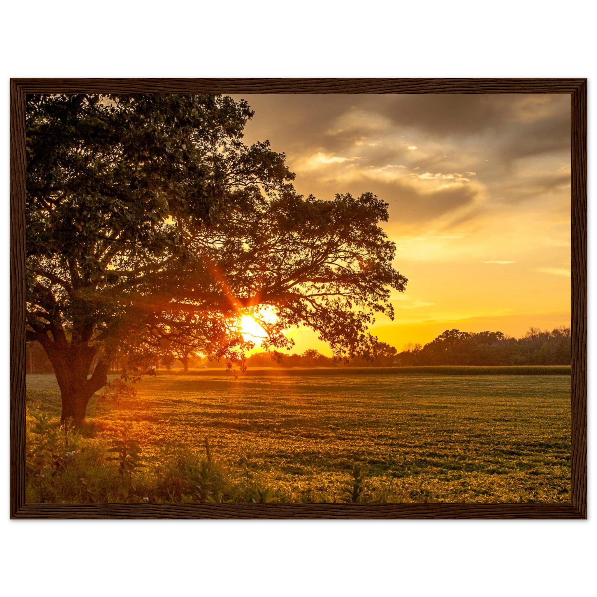 c9c34789-4dea-491d-939d-cc7115c9da19