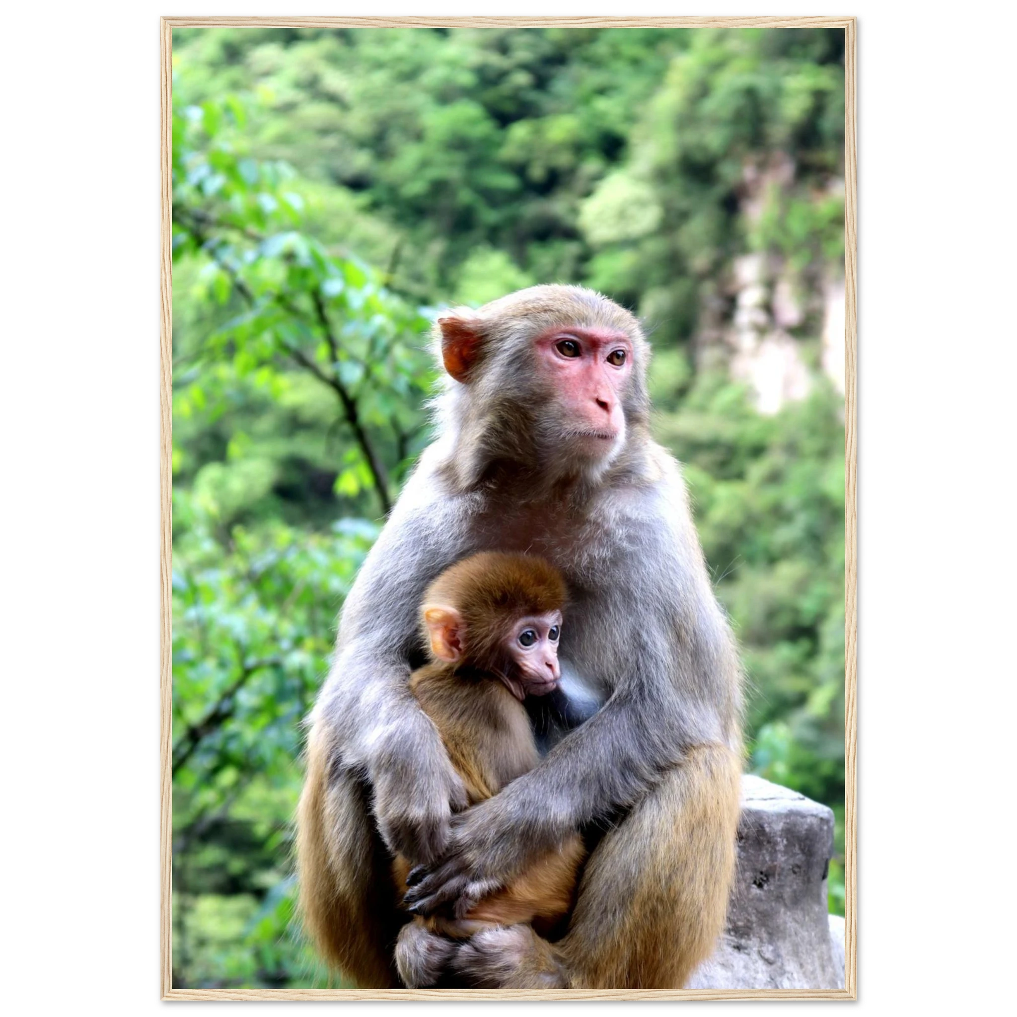 ca207e36-1a98-41fe-84ed-5145c9d28d18