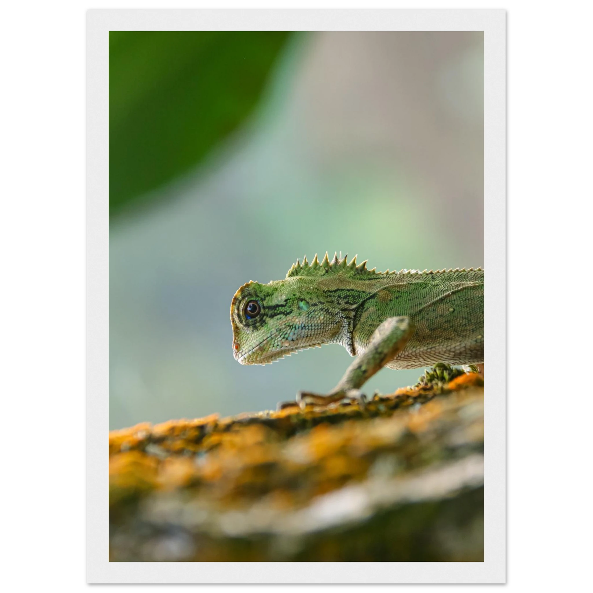 ca28e1c8-662f-4b64-acf2-b5ec76c3cdea