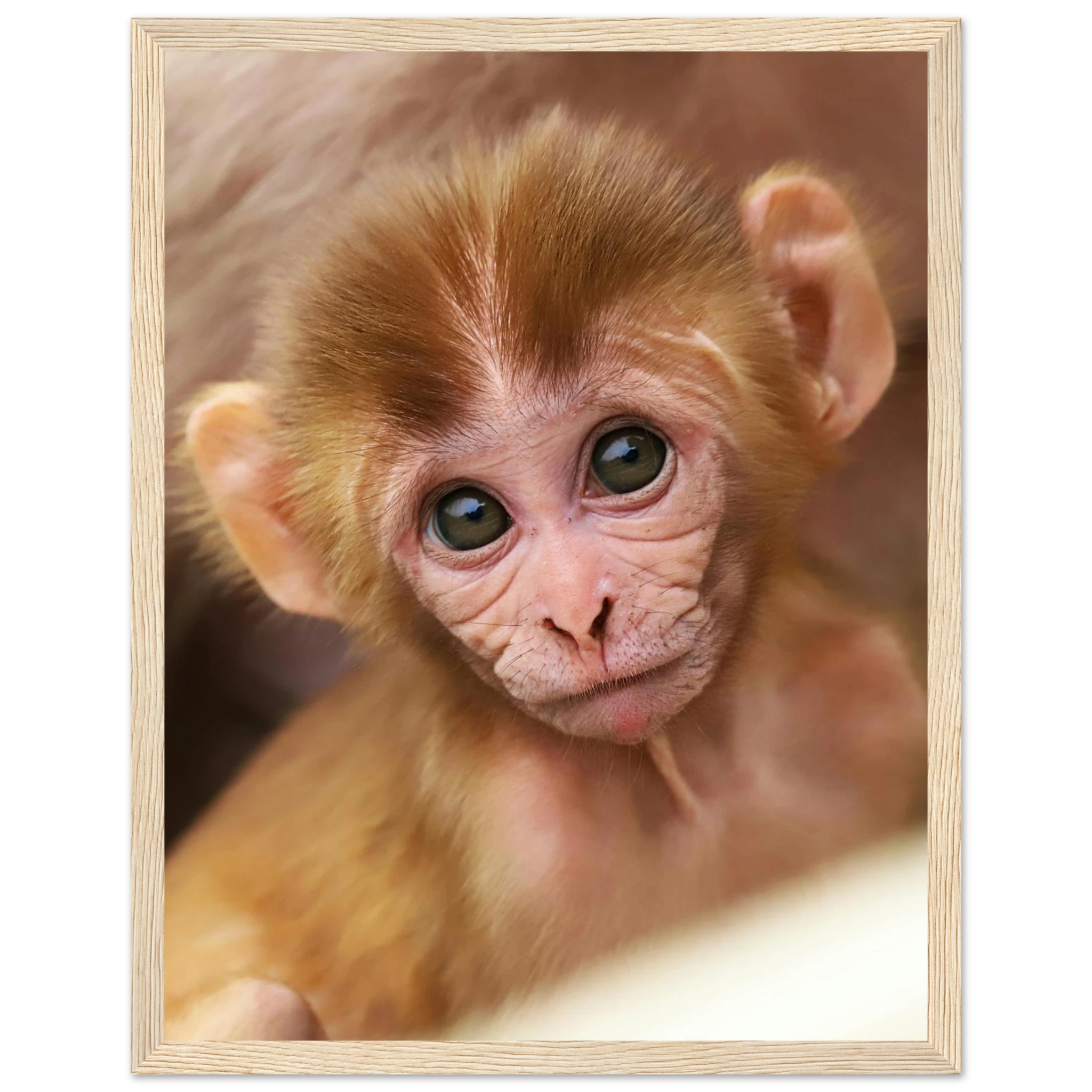 ca2da582-4ade-4415-a9c5-1d9892e983d0