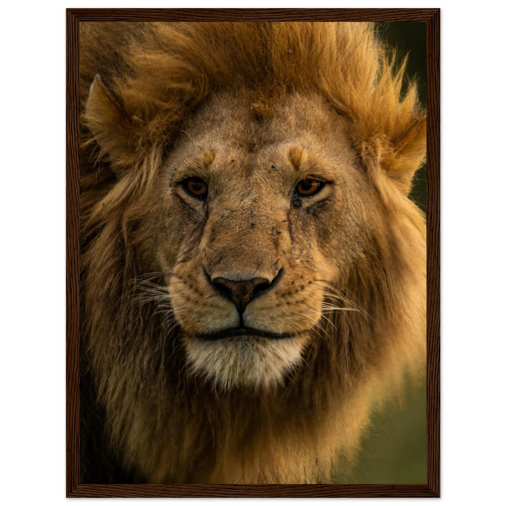 ca3add4a-c613-4ccf-a3d5-f5d068db7320