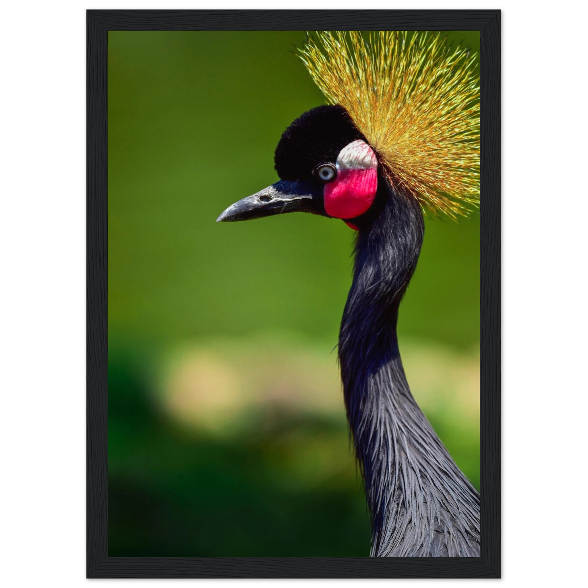 ca4dd91e-3bc4-4103-8e34-2886874ea545