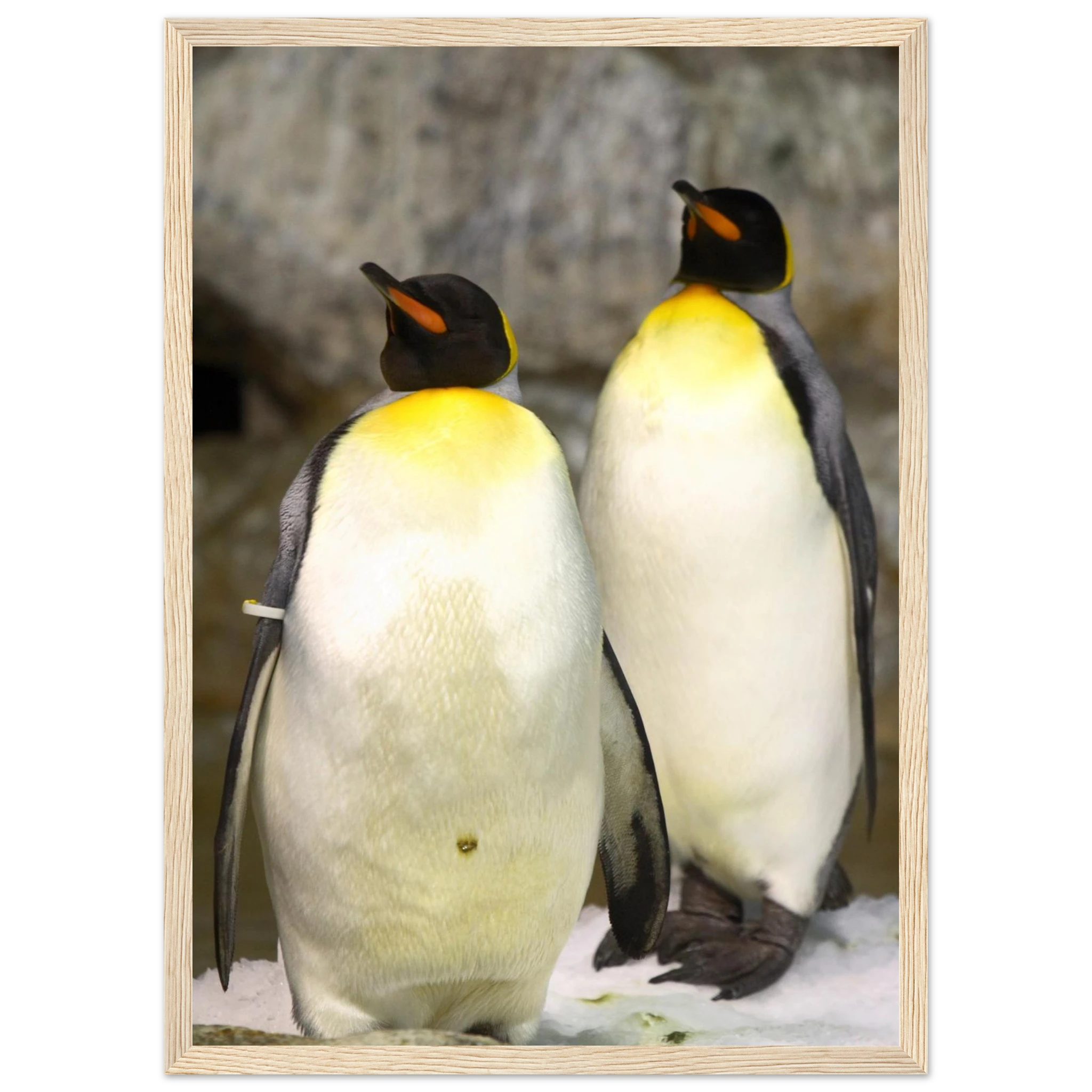 cab1f5f2-e395-424b-9d2c-e473f790175a