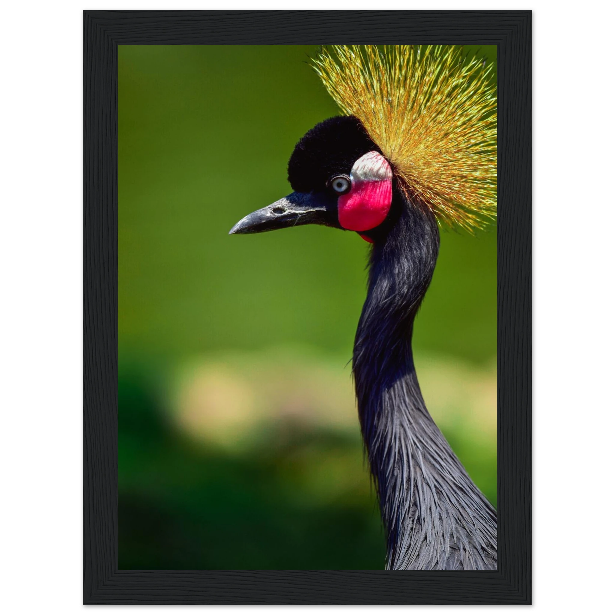 cac4307a-02f1-4d23-8ee2-477bd8726ae6