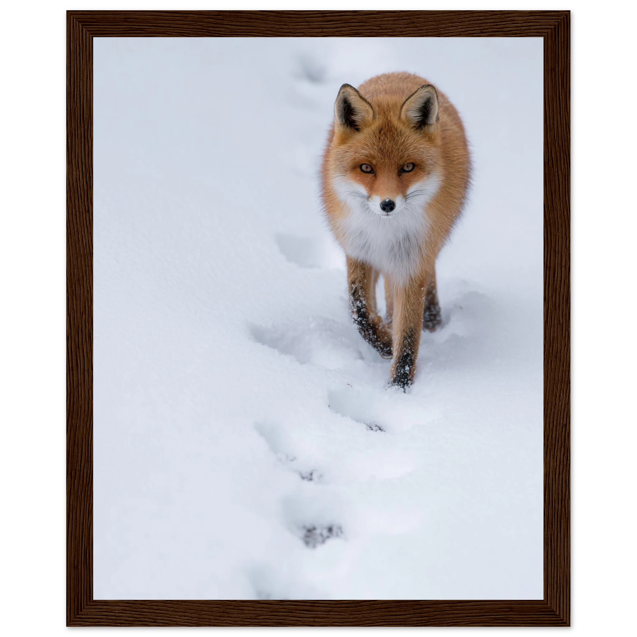 cac60118-24c7-46cf-bbf8-b47858a635f9