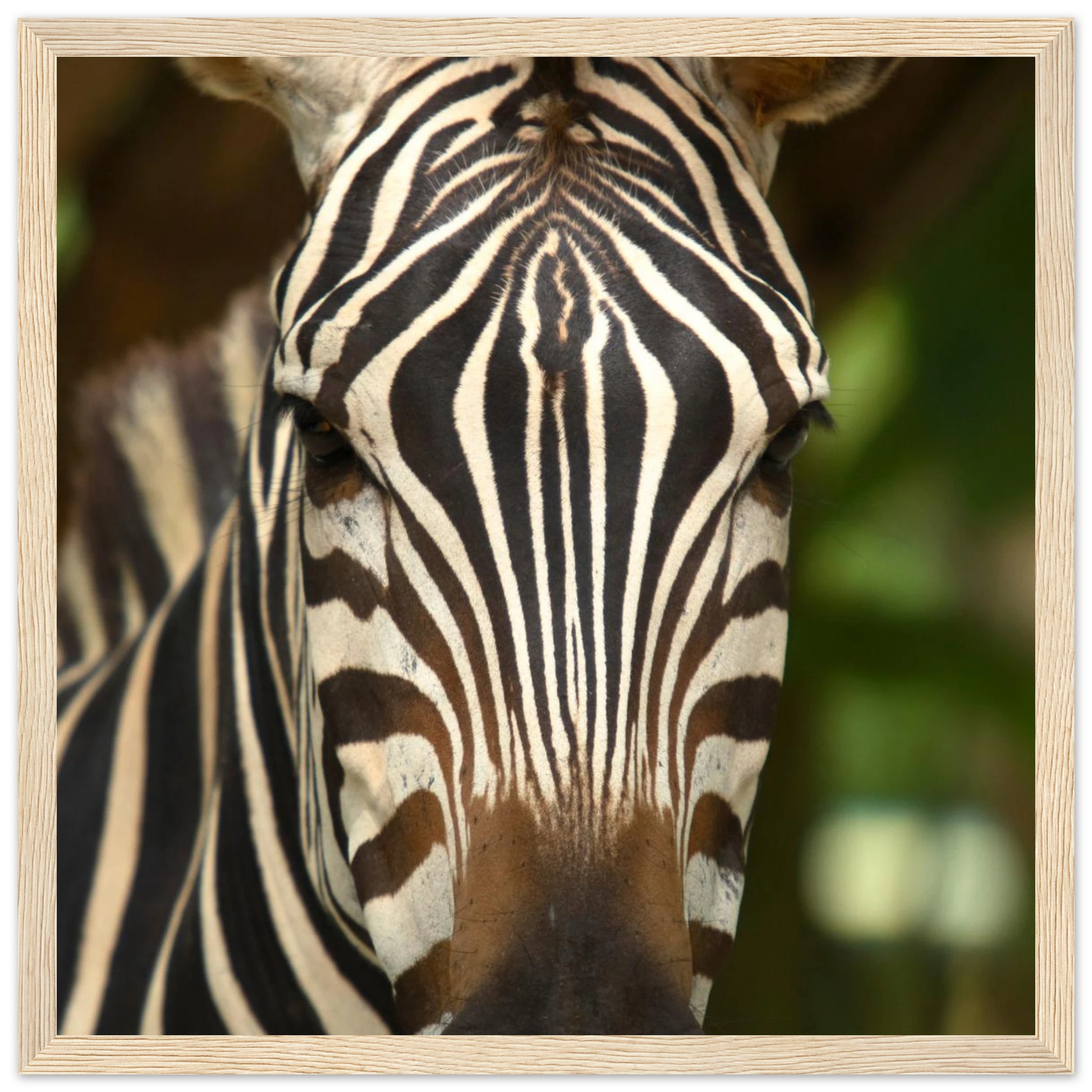 cada8773-07a1-40e4-9636-314878b458f6