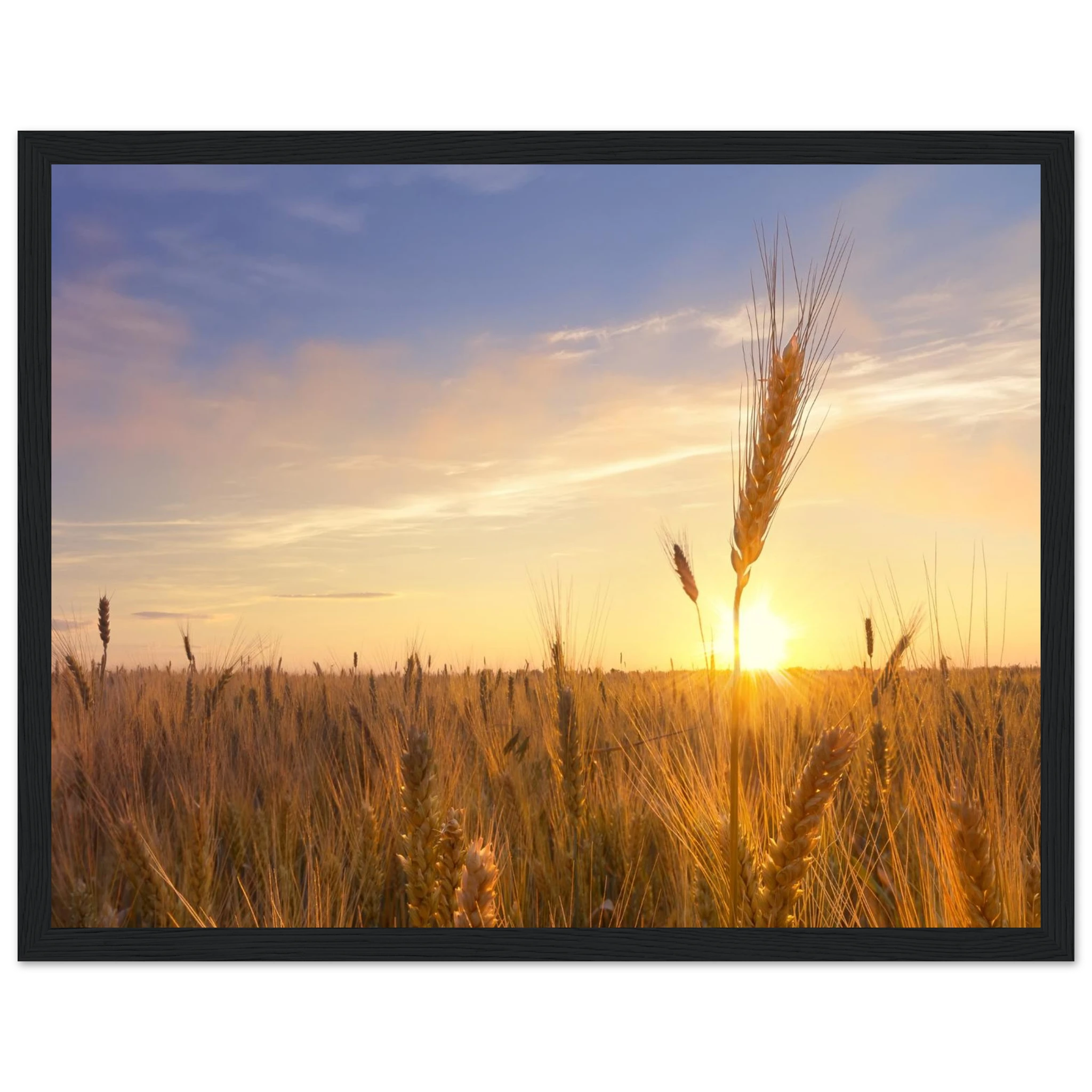 cadb19d0-fb4c-4a19-a72c-50c9228370f0