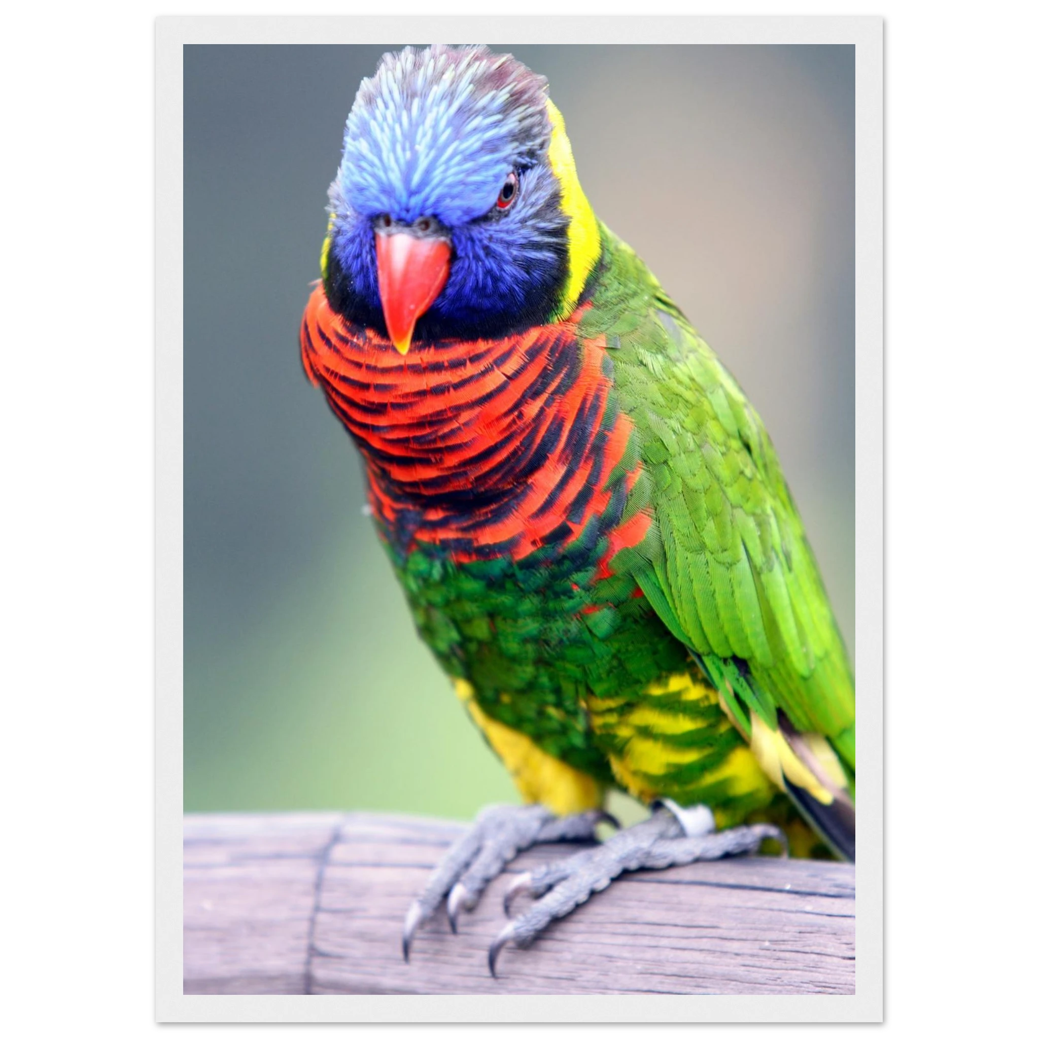 cb168ead-398b-4f48-af59-6c323516a11e