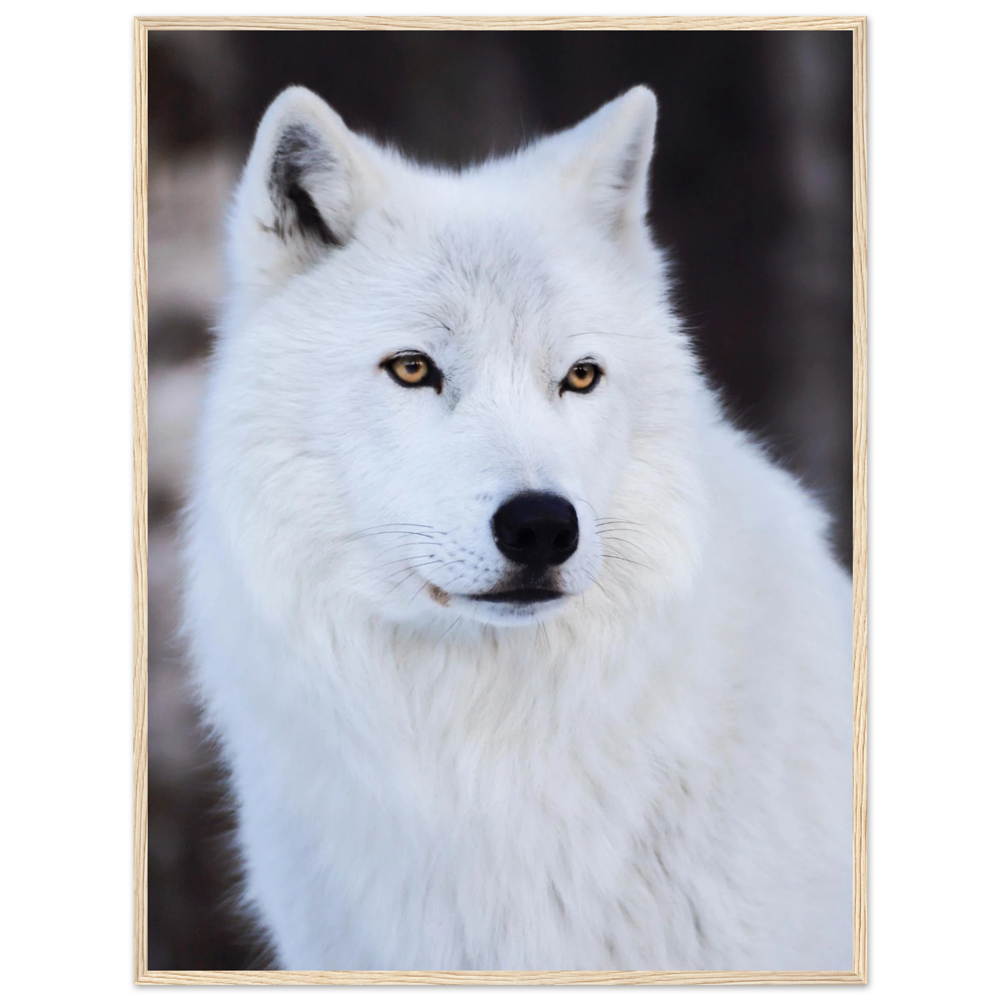 cb3f018b-6c2d-4292-bf8e-6b78b7765762