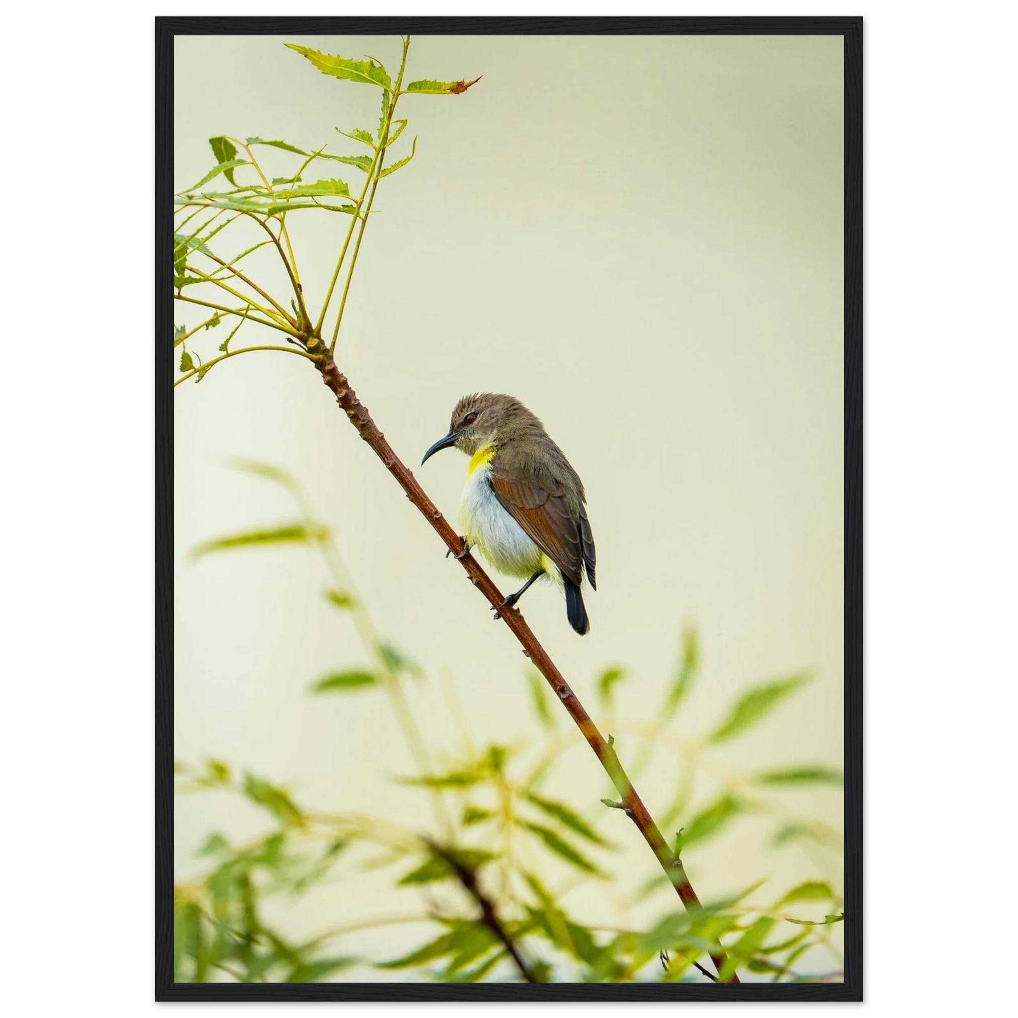 cb67c58d-c304-4ab6-a483-901fa515ced5