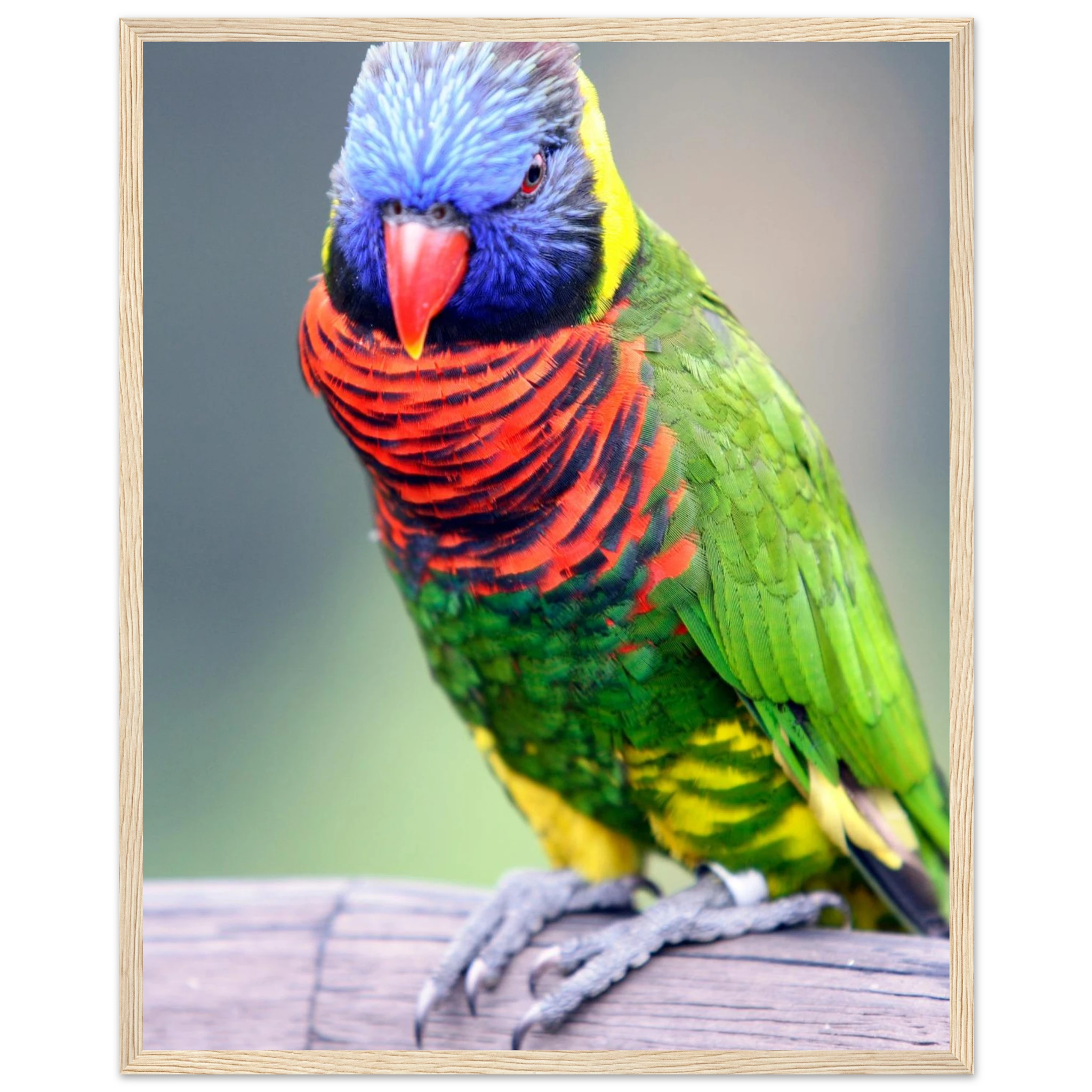 cb864dce-0226-44a3-907b-a31edb4d5f11