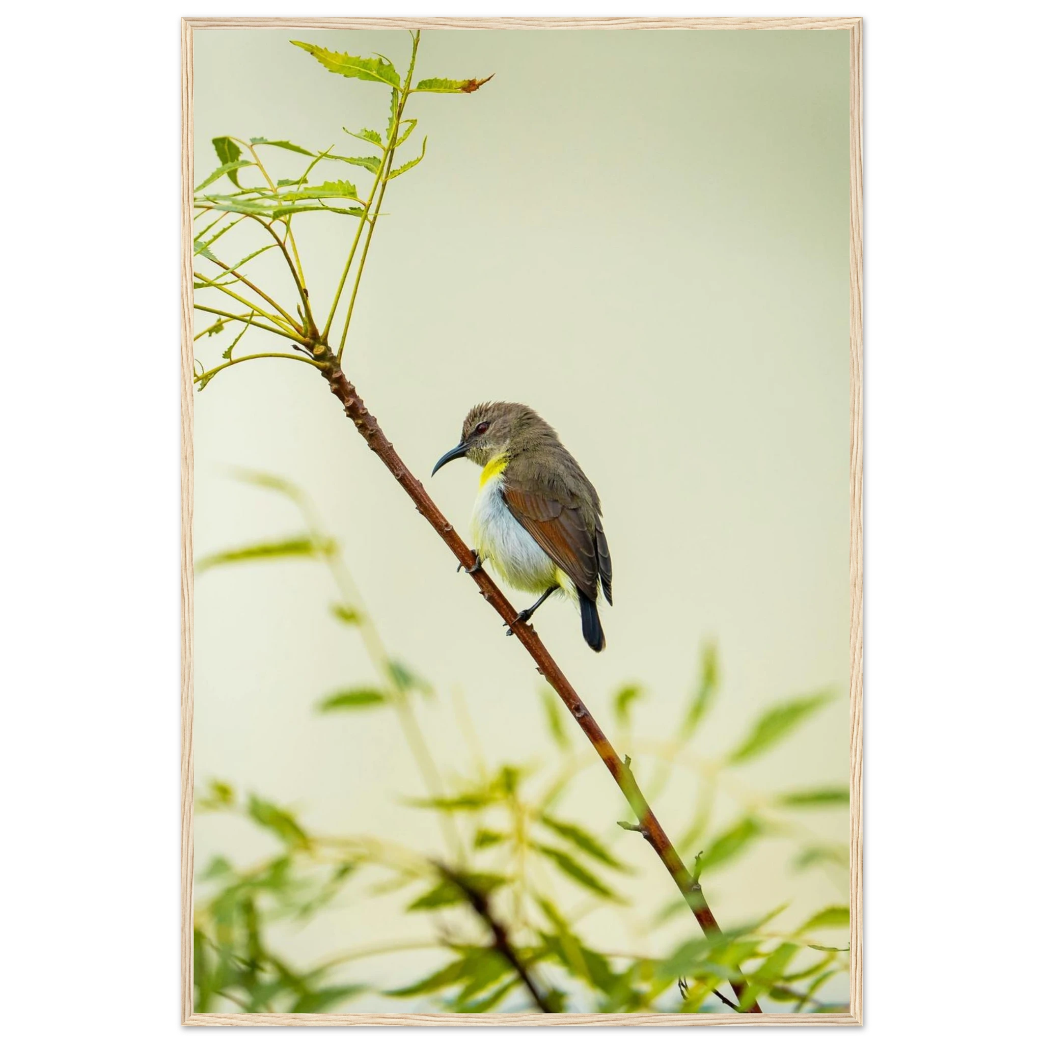 cba2c8d1-658d-4586-99c8-b8f65ab485d6