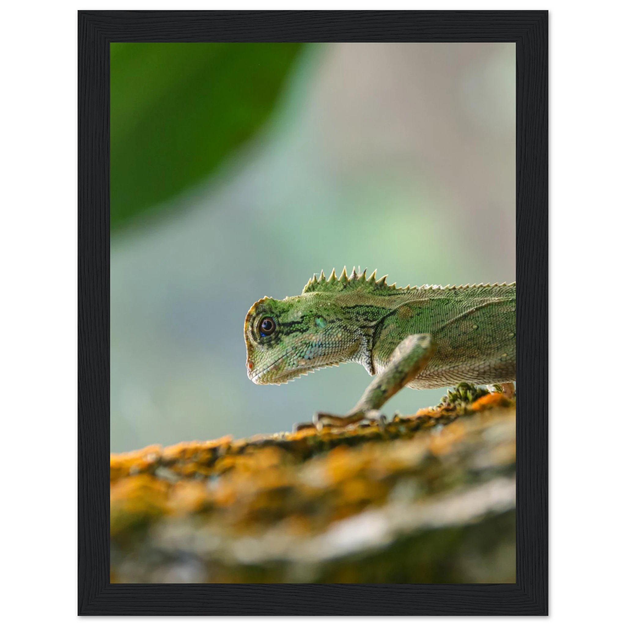 cba89a5c-a243-4882-b90e-b9e5087ccd42