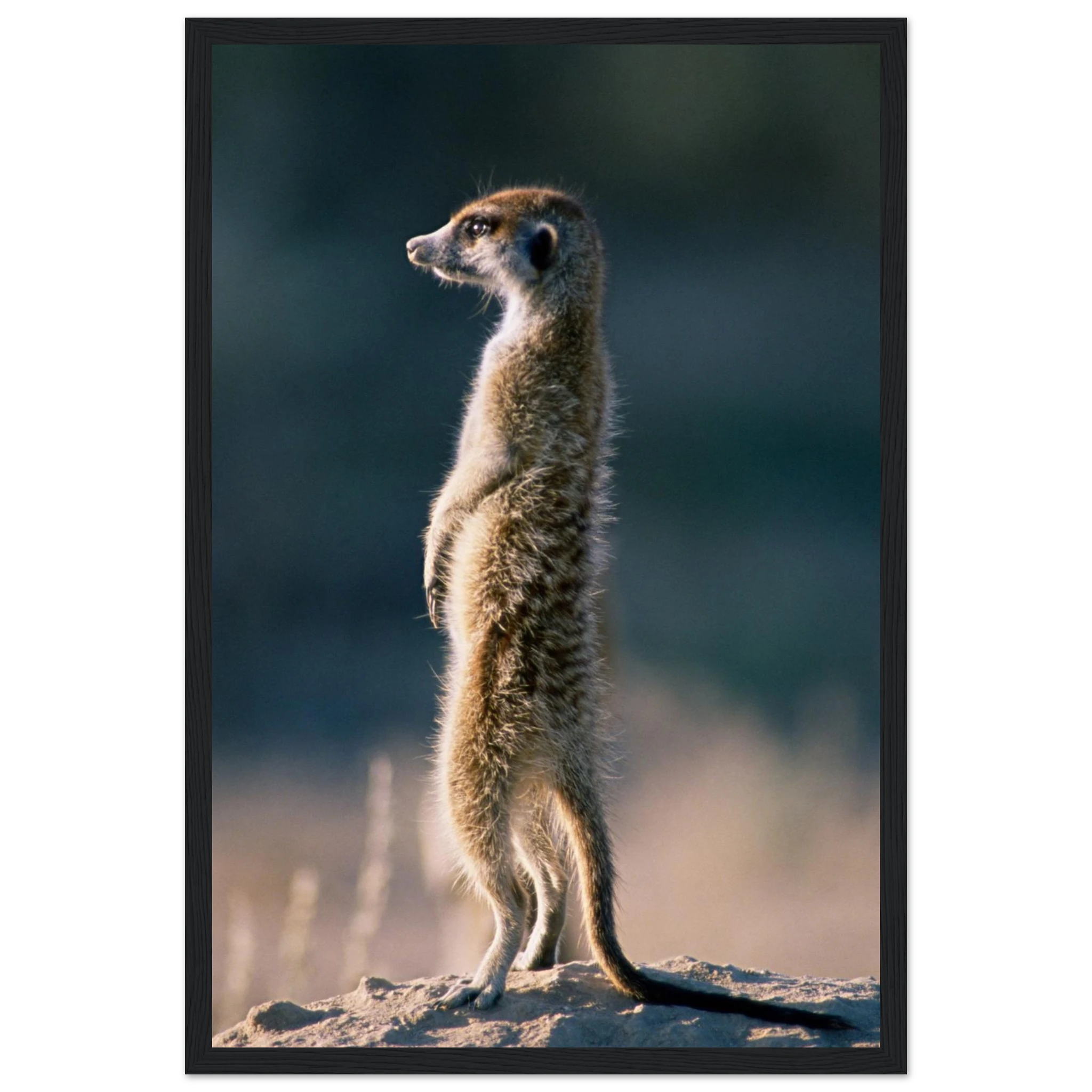 cbff6147-d408-4702-8a71-e2d5f3aa8d16