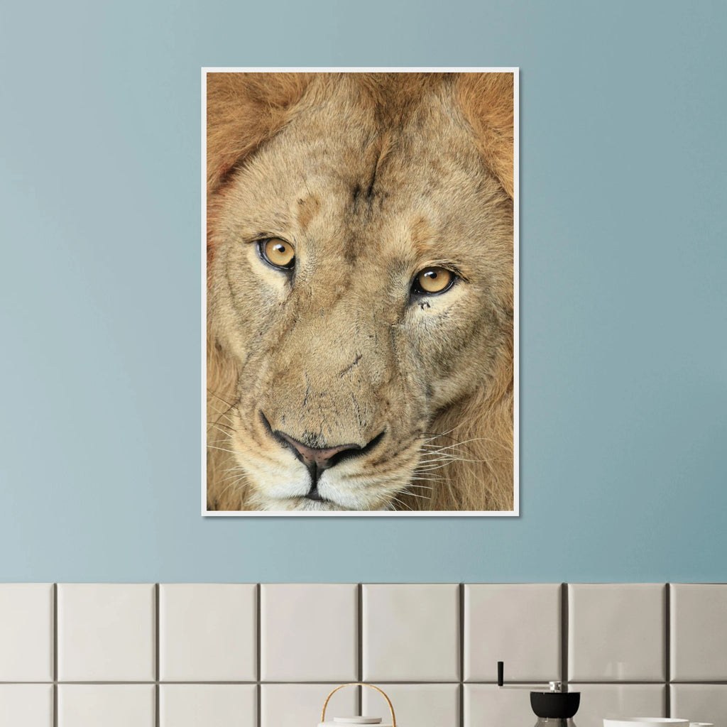 cc0fc645-318c-493b-9925-0e51d1395974