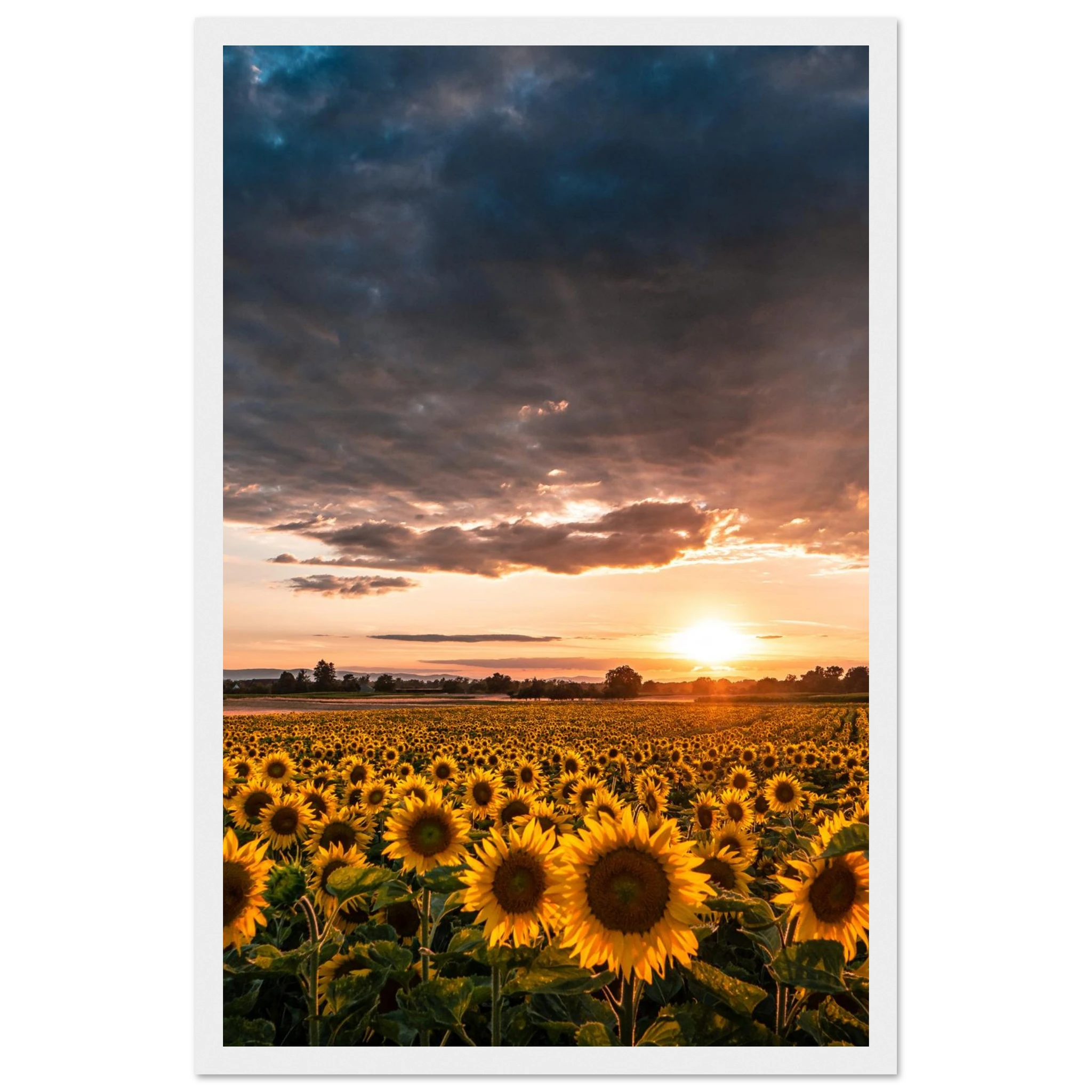 cc20b23e-0b00-4ac7-b772-03410a1bfb75