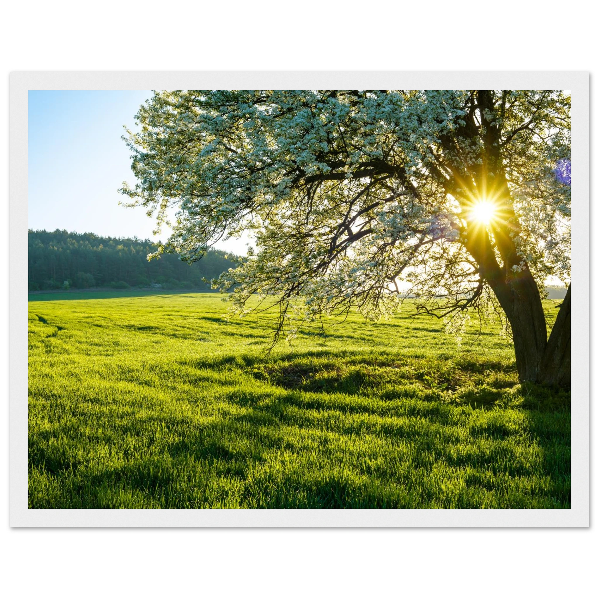 cc2a4504-cc3c-4514-93ad-a6d16f2800f0