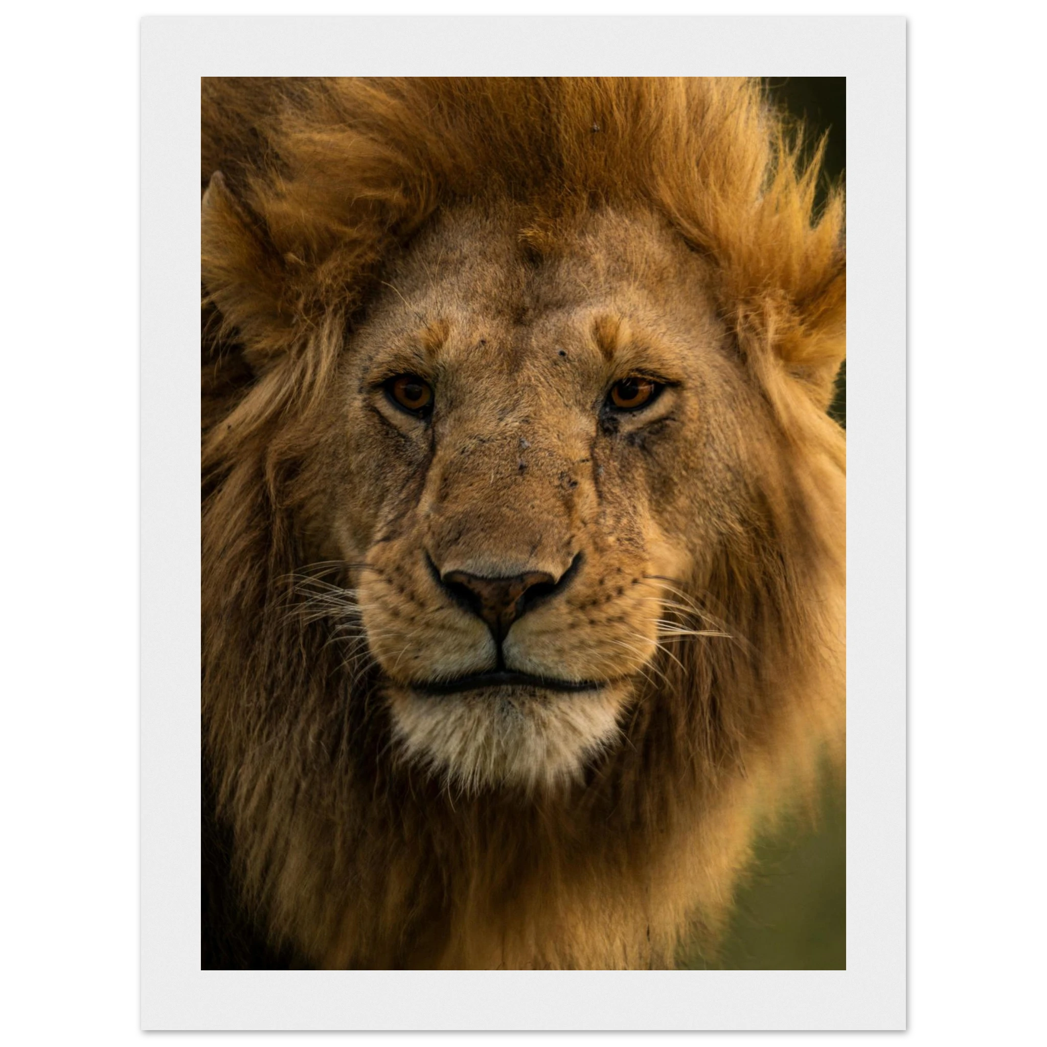 cc4732ca-a76a-4ddf-9deb-e2718bc5ed04