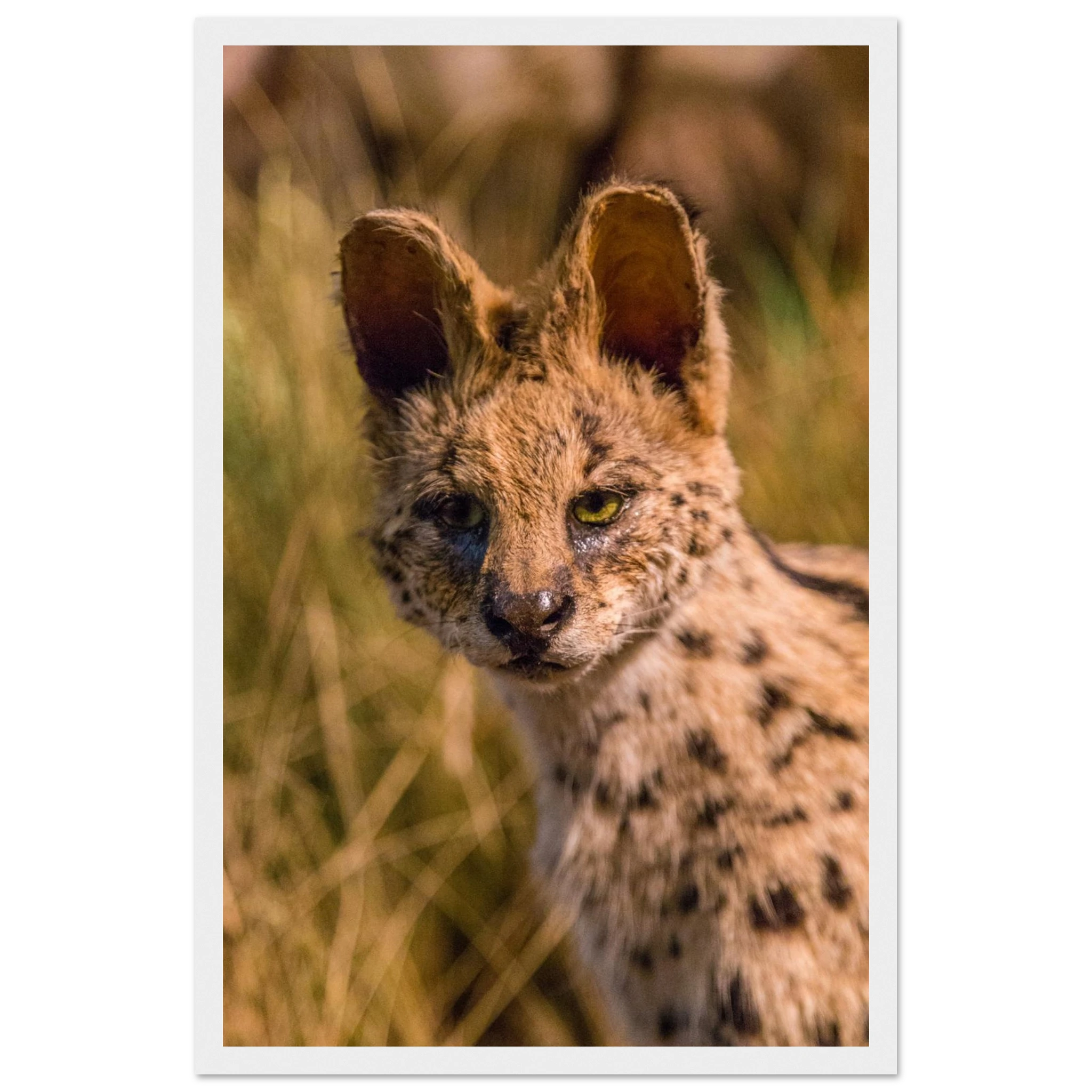 cc7431c1-8cff-4ff4-91b4-28edeaa4178b