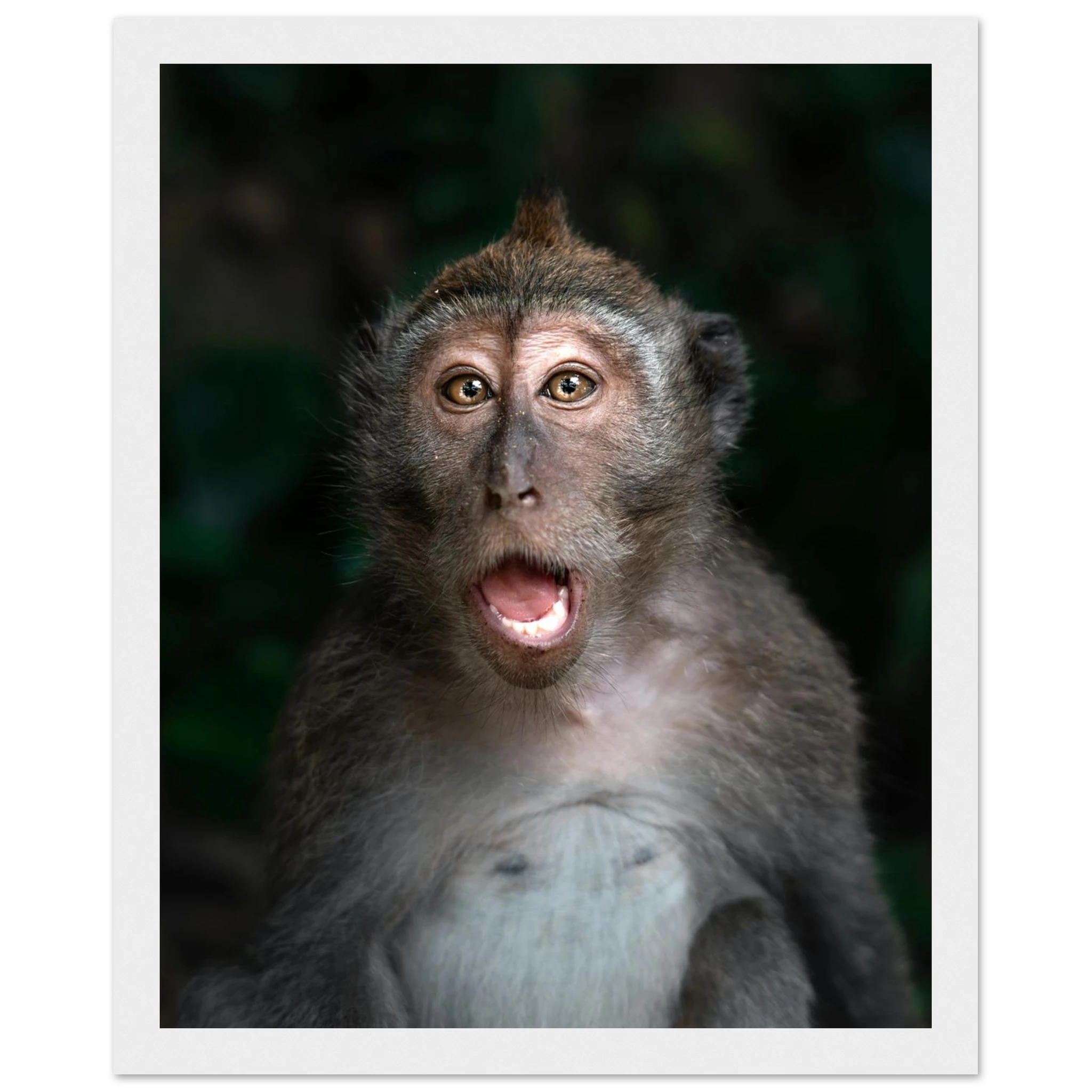 cc7daab0-5a6d-4323-be55-c1598a5fe062