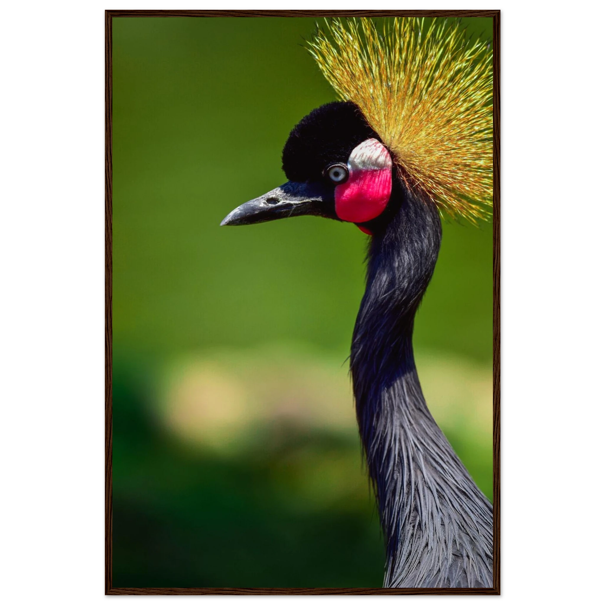 cc8b4496-4bd7-49f1-ab76-57ab05a5674c