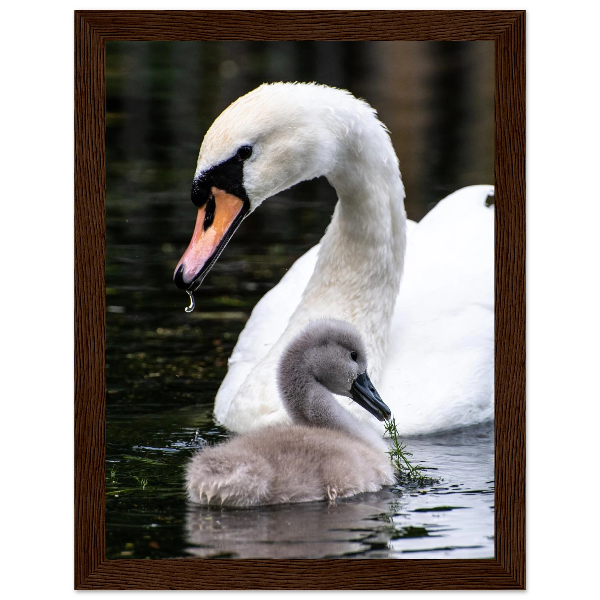 cc8e8d66-0dbe-4221-96f3-6c9572ca5da1