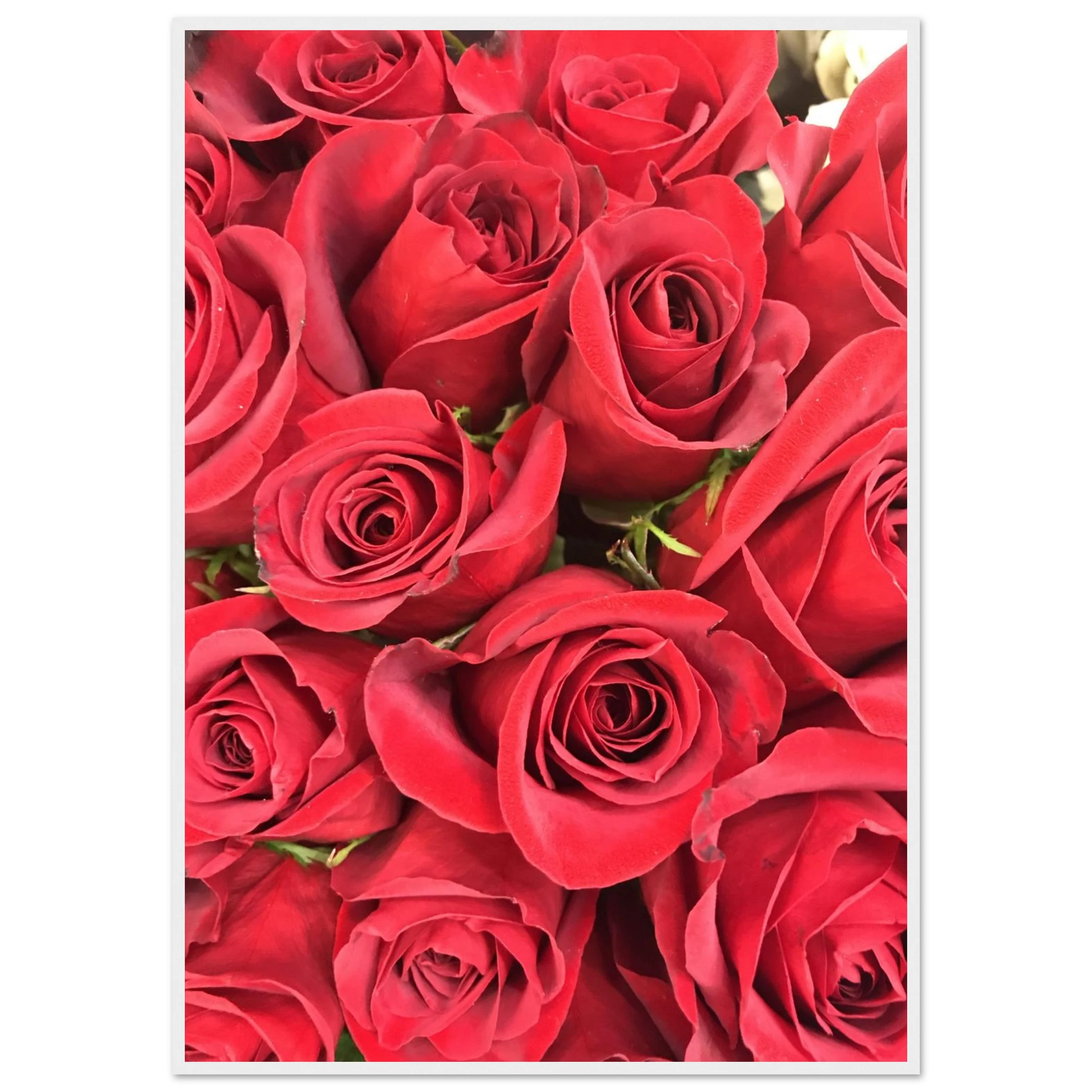 ccb05896-8abe-4254-a07a-d4c624ebc0ec