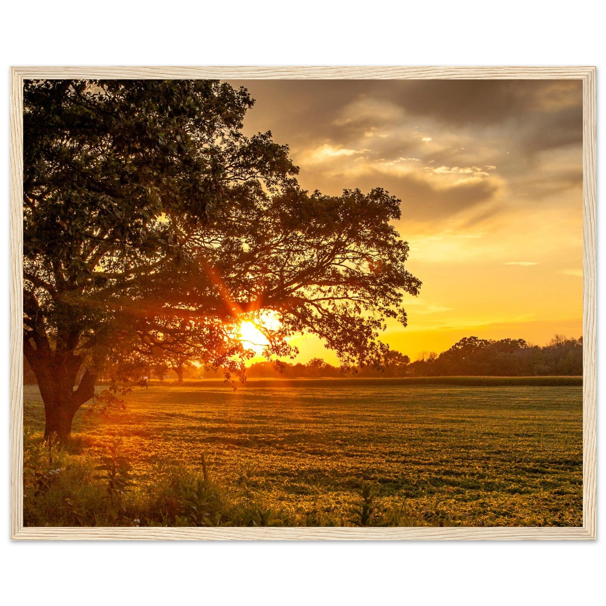 ccb96f7f-ea55-461b-b033-8f0bb8ba621c