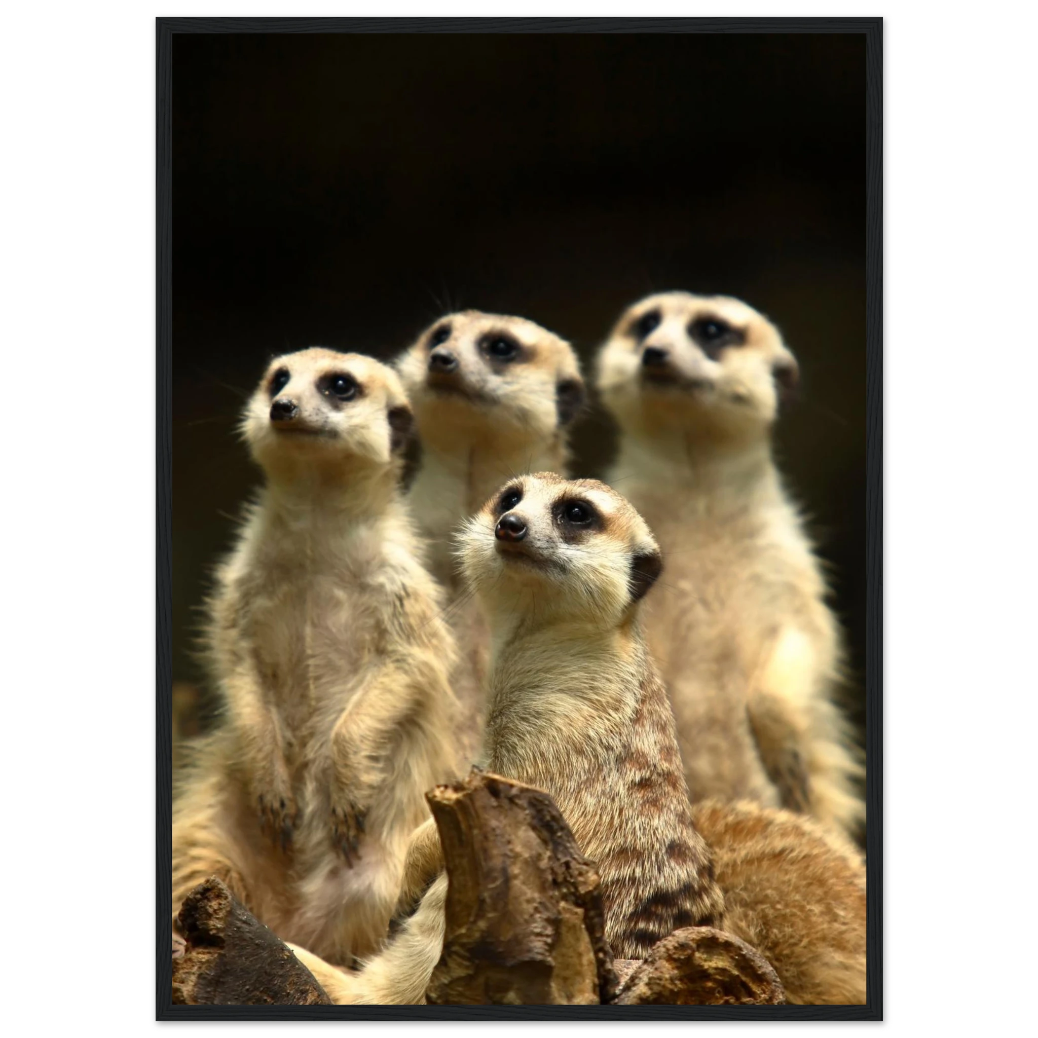 ccc256b3-4b85-409b-b2b1-fed3d792d9c5