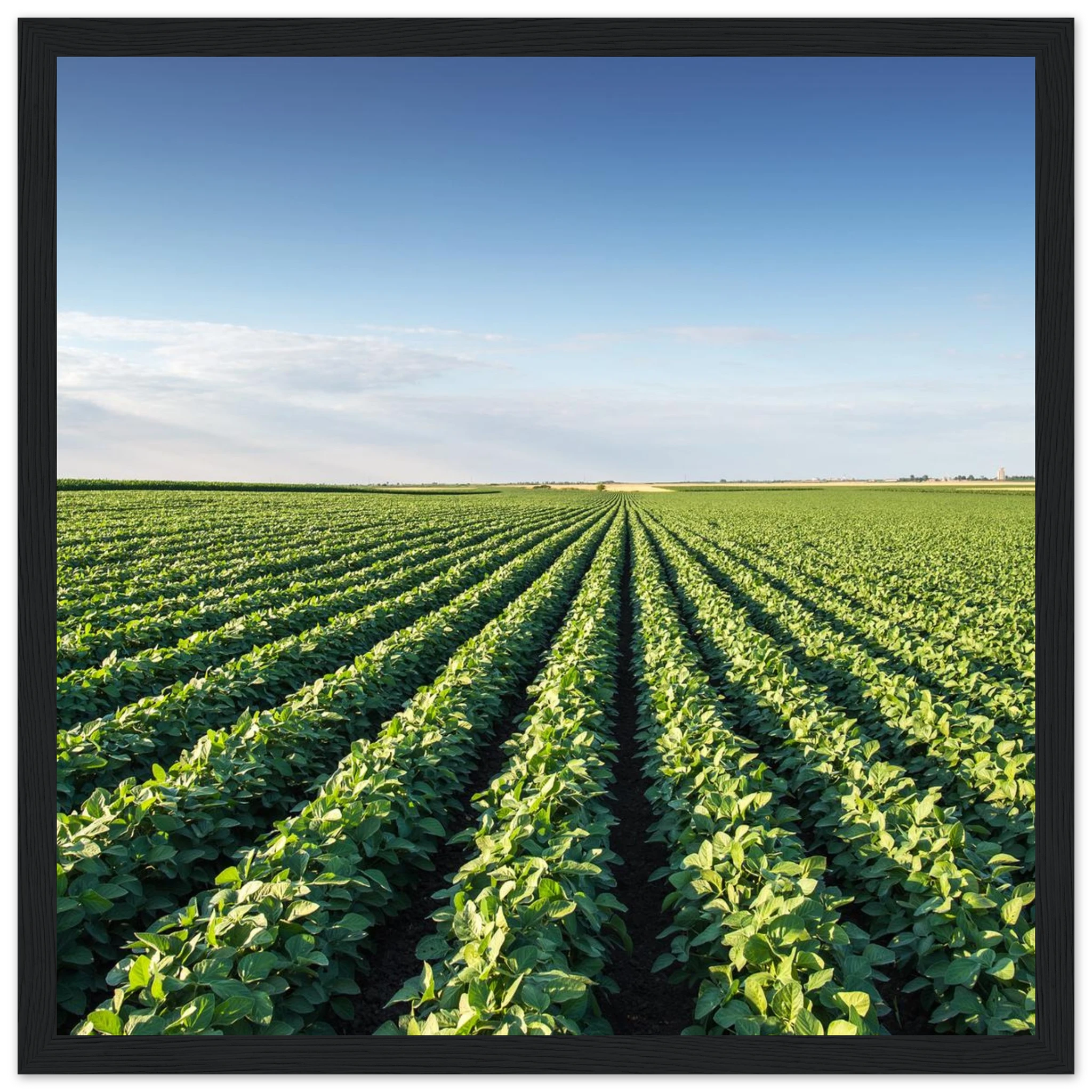 ccf87874-059c-481a-9f34-fd05e98653a9