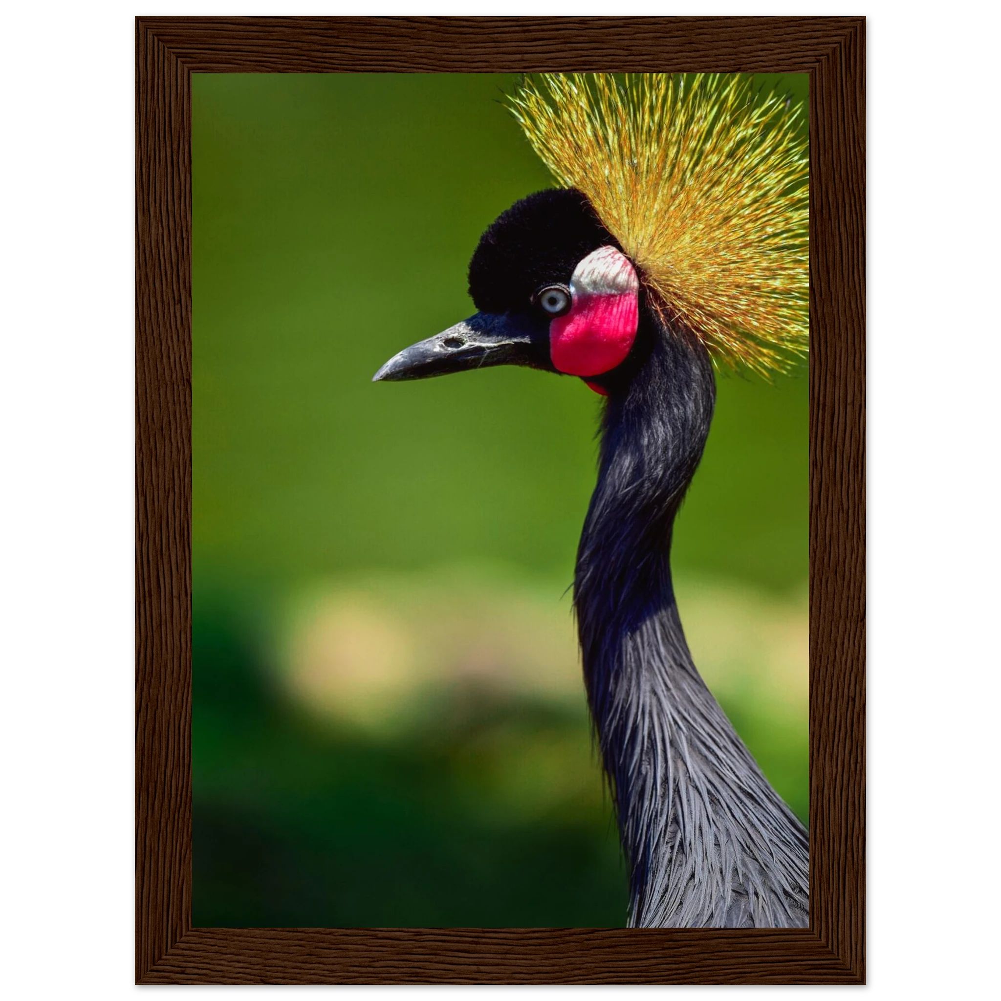 cd0163aa-c4fd-476f-a30a-40f944d00924