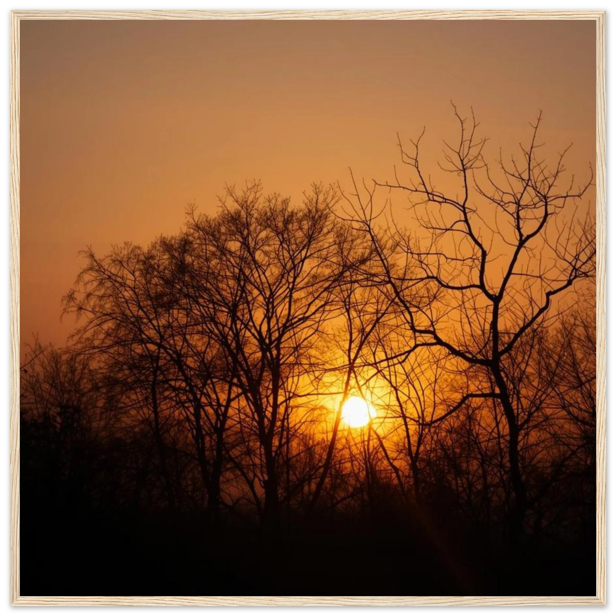 cd032fc6-bfef-43b7-868c-035461a08441